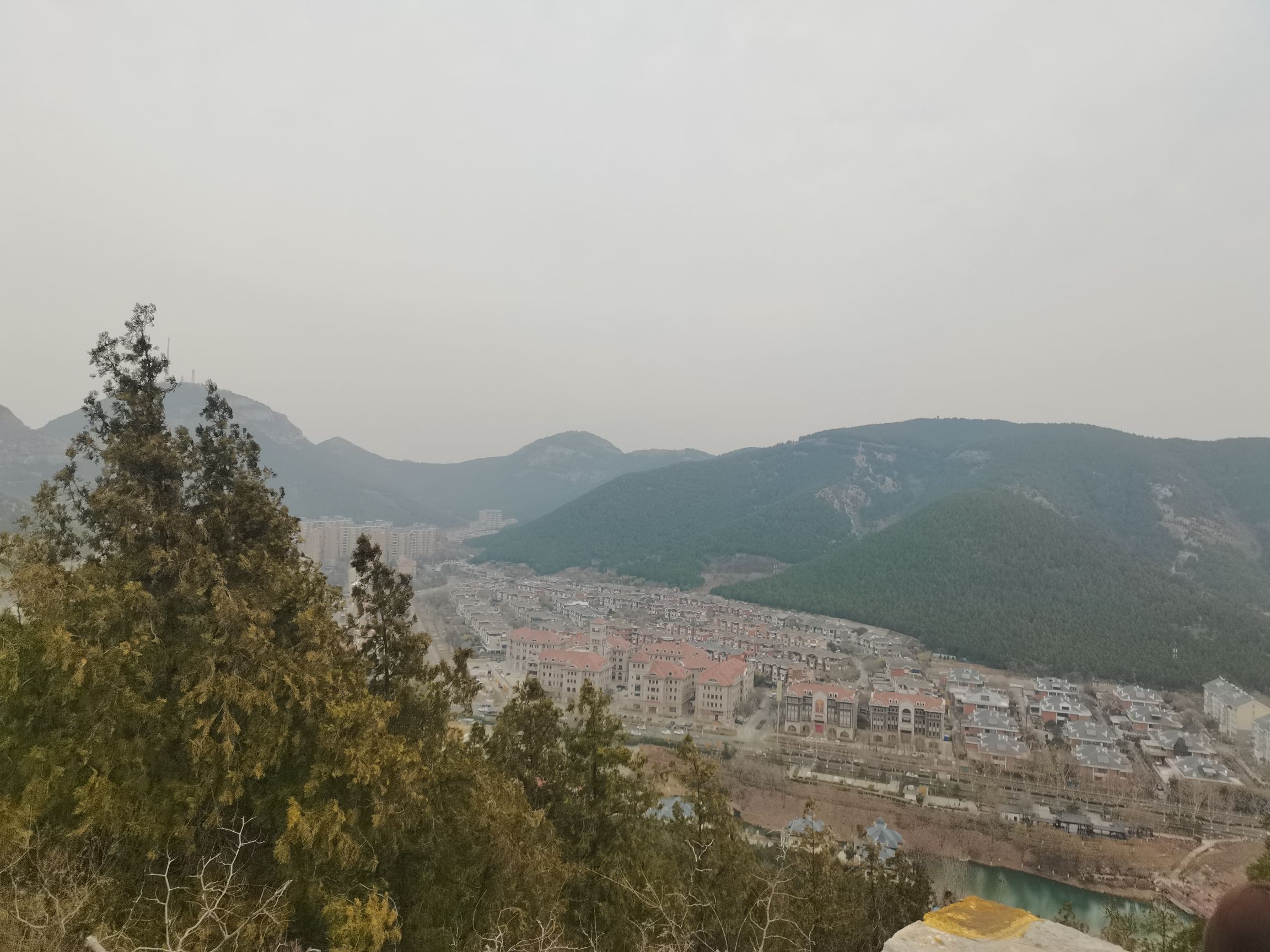 金鸡岭山体公园旅行图片 1