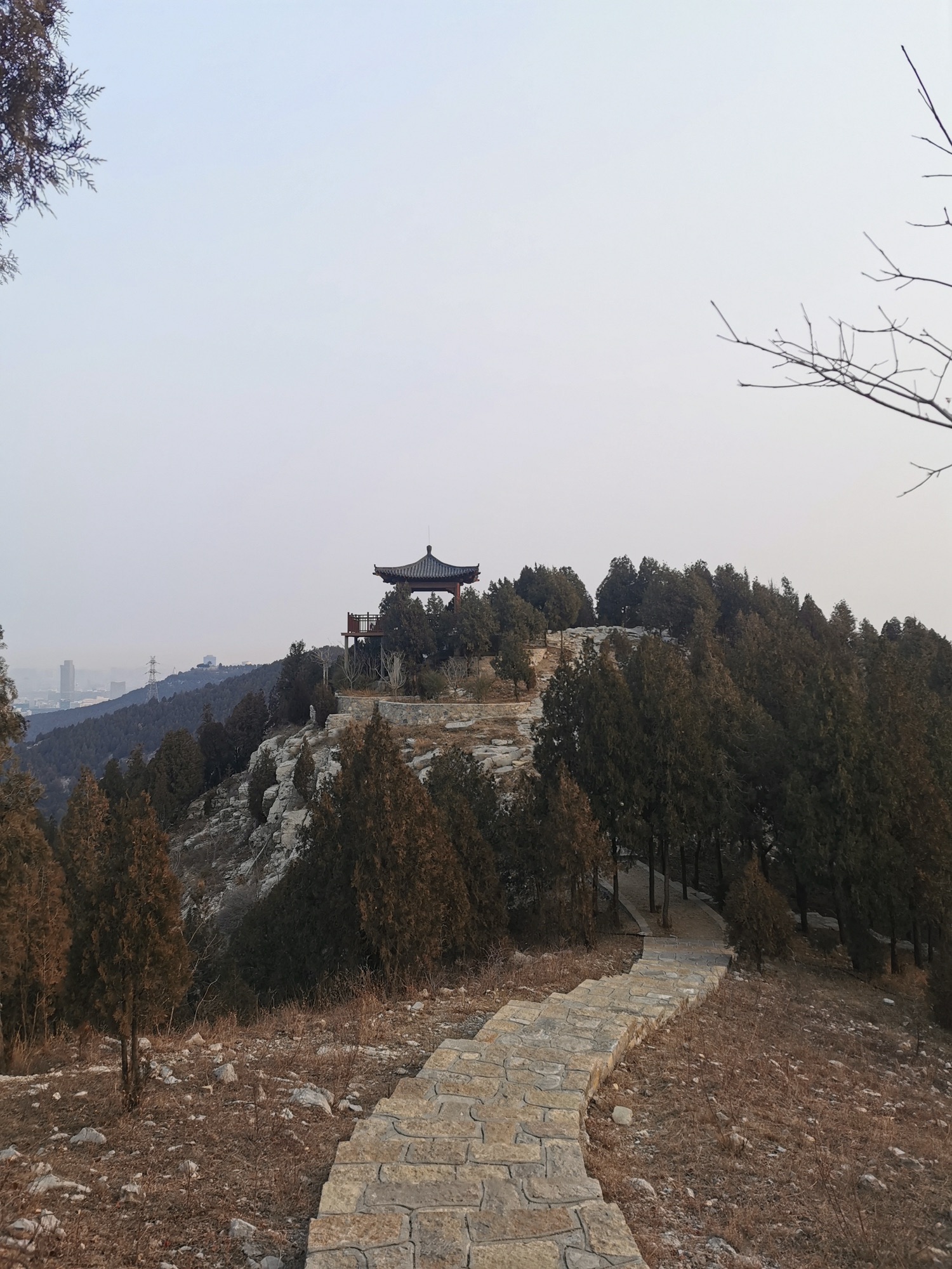 金鸡岭山体公园旅行图片 3