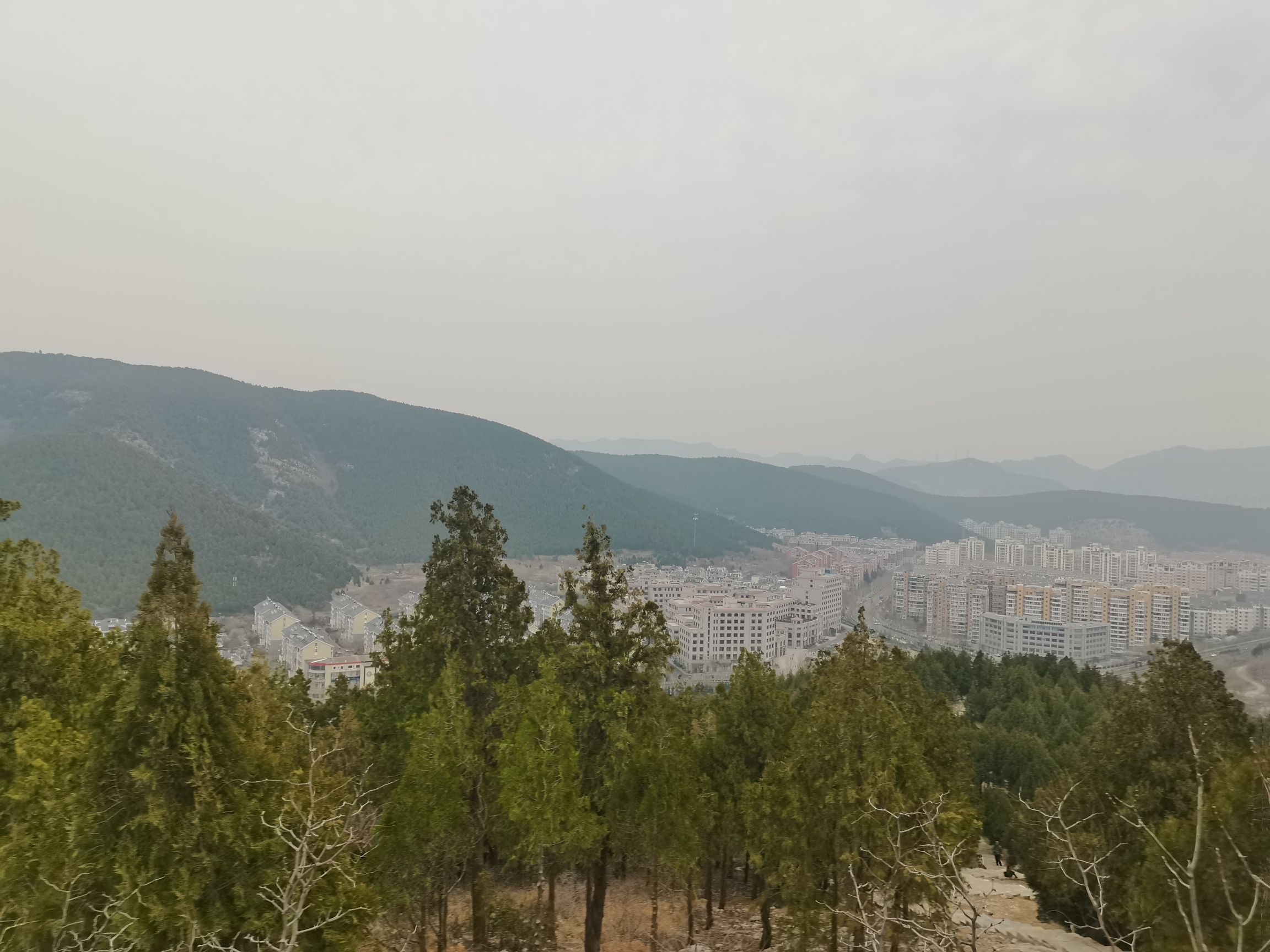 金鸡岭山体公园旅行图片 3