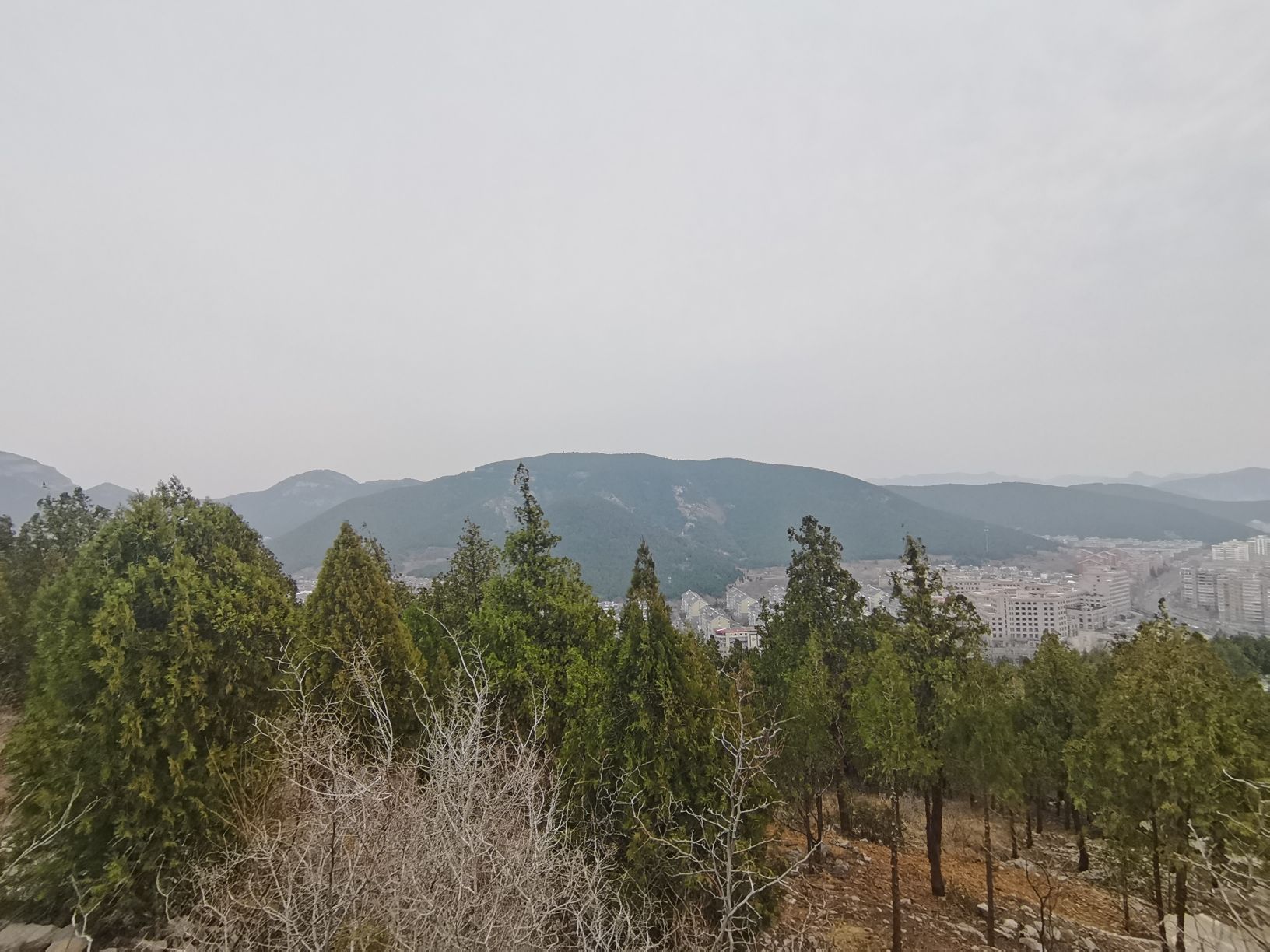 金鸡岭山体公园旅行图片 2