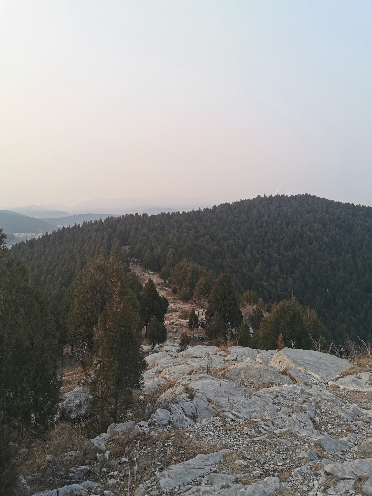 金鸡岭山体公园旅行图片 2