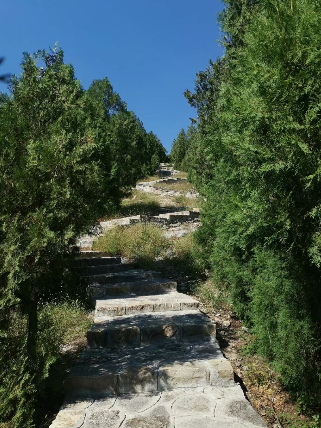 金鸡岭山体公园旅行图片 3