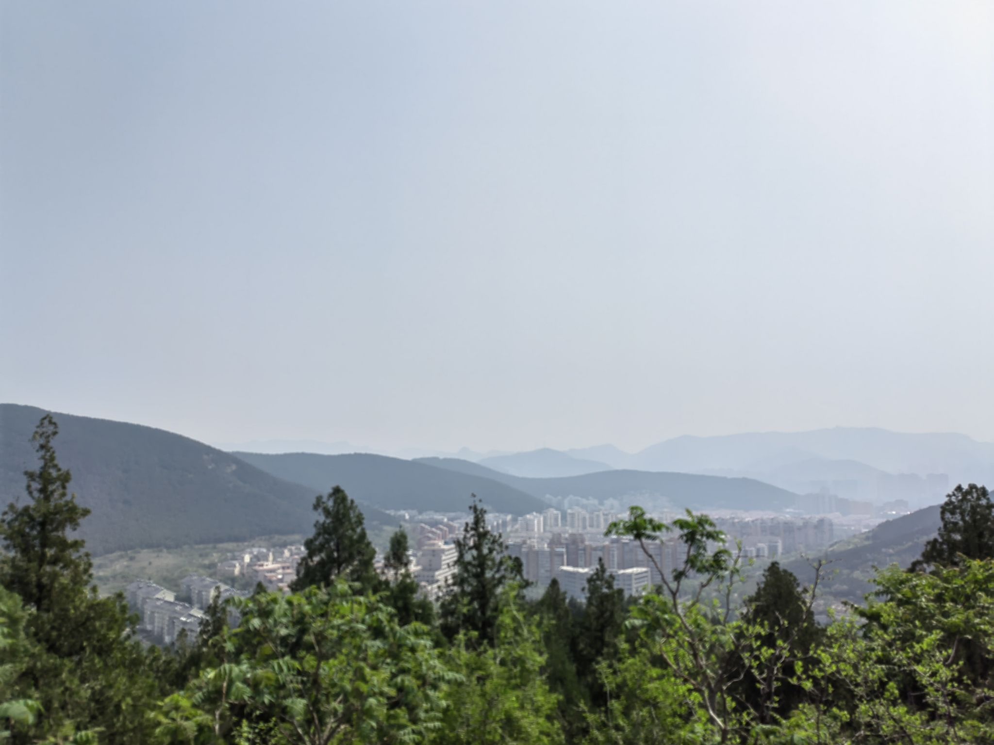 金鸡岭山体公园旅行图片 2