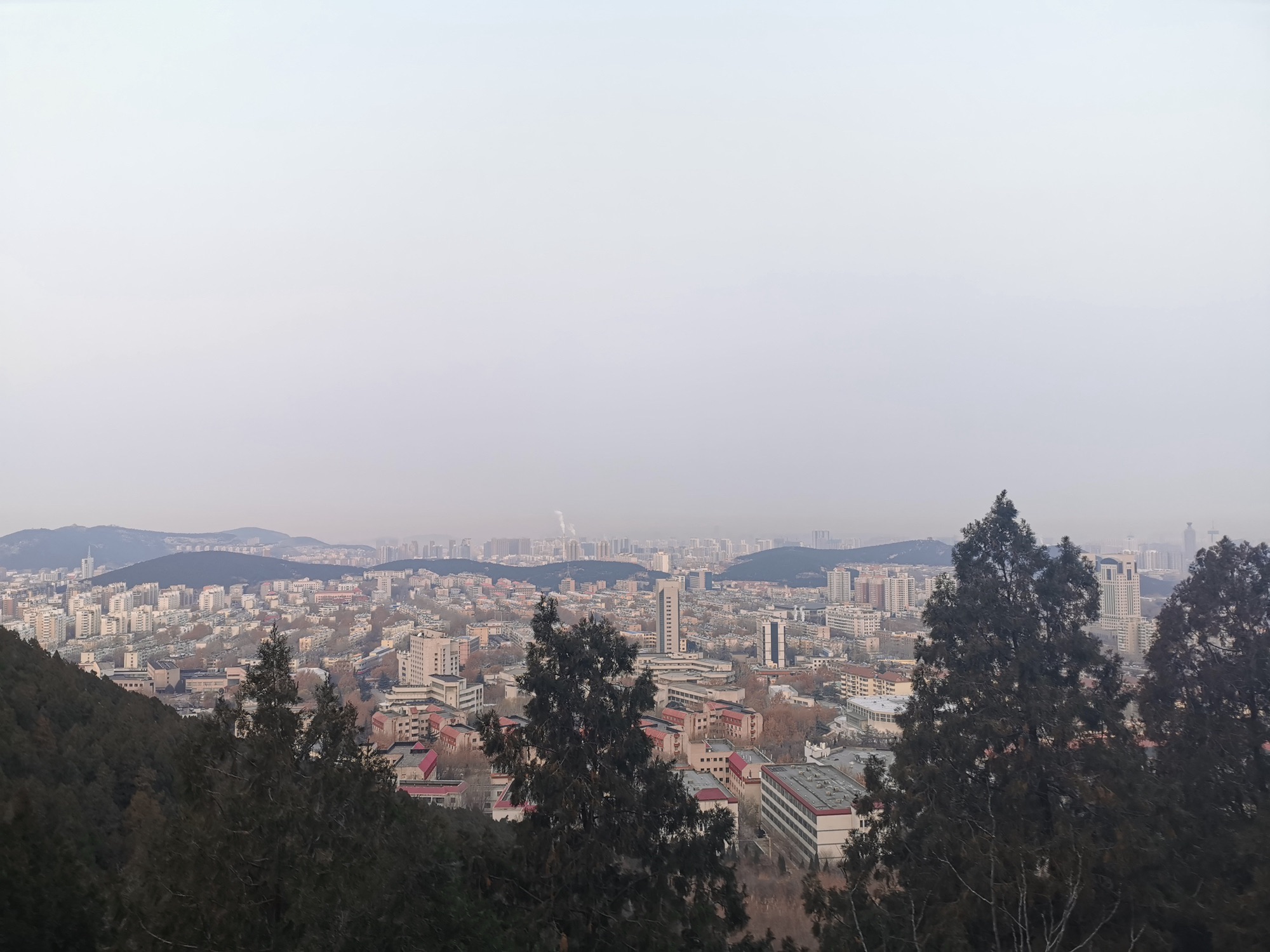 金鸡岭山体公园旅行图片 1