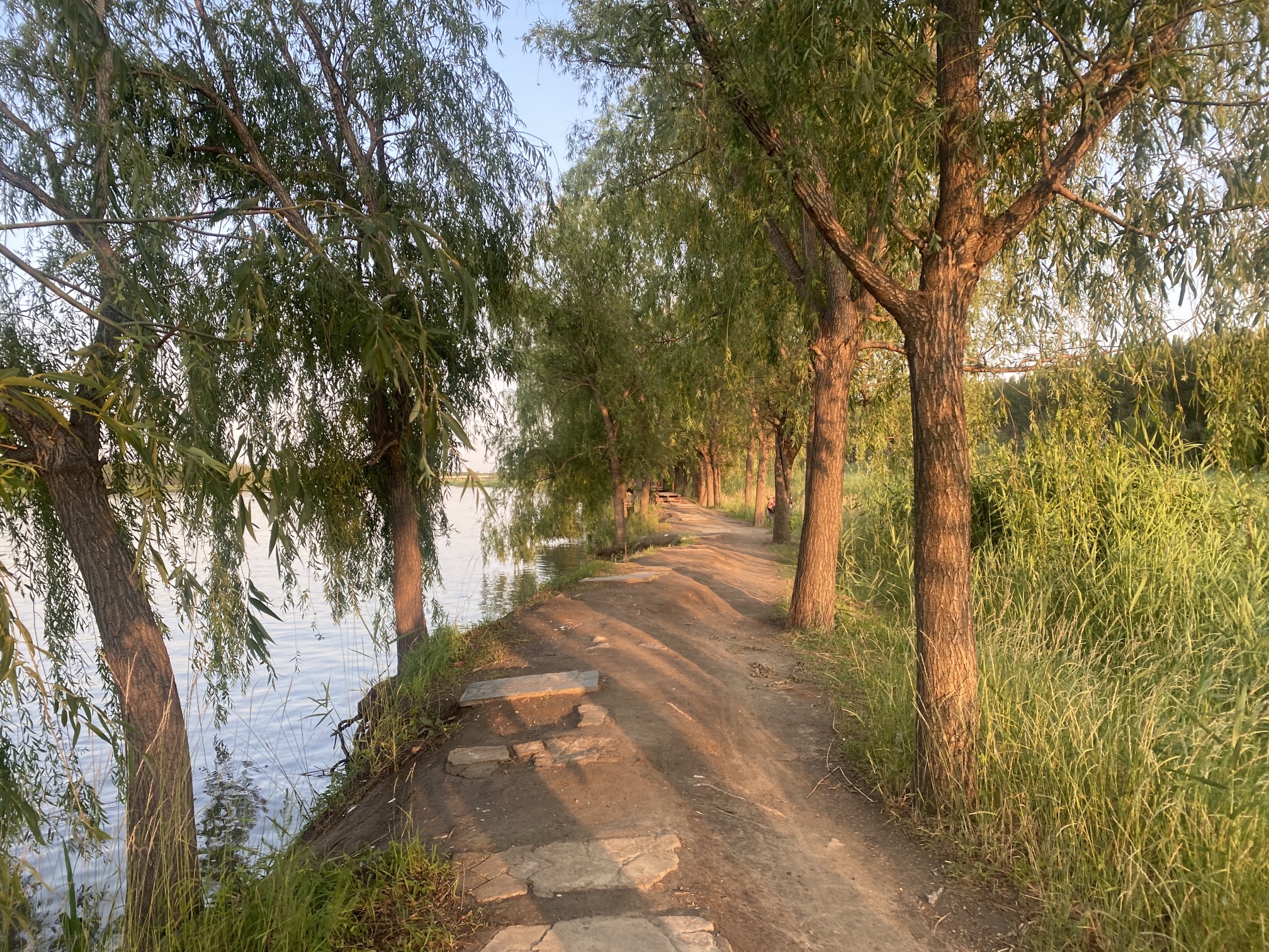 潮白河湿地公园