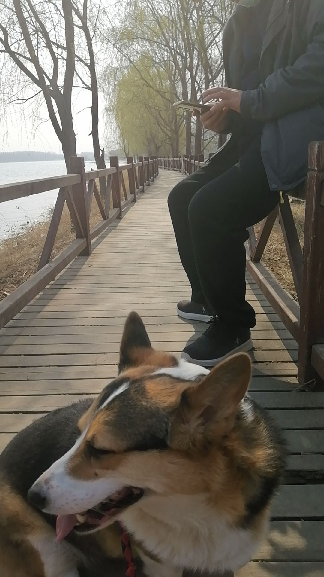 潮白河湿地公园旅行图片 2
