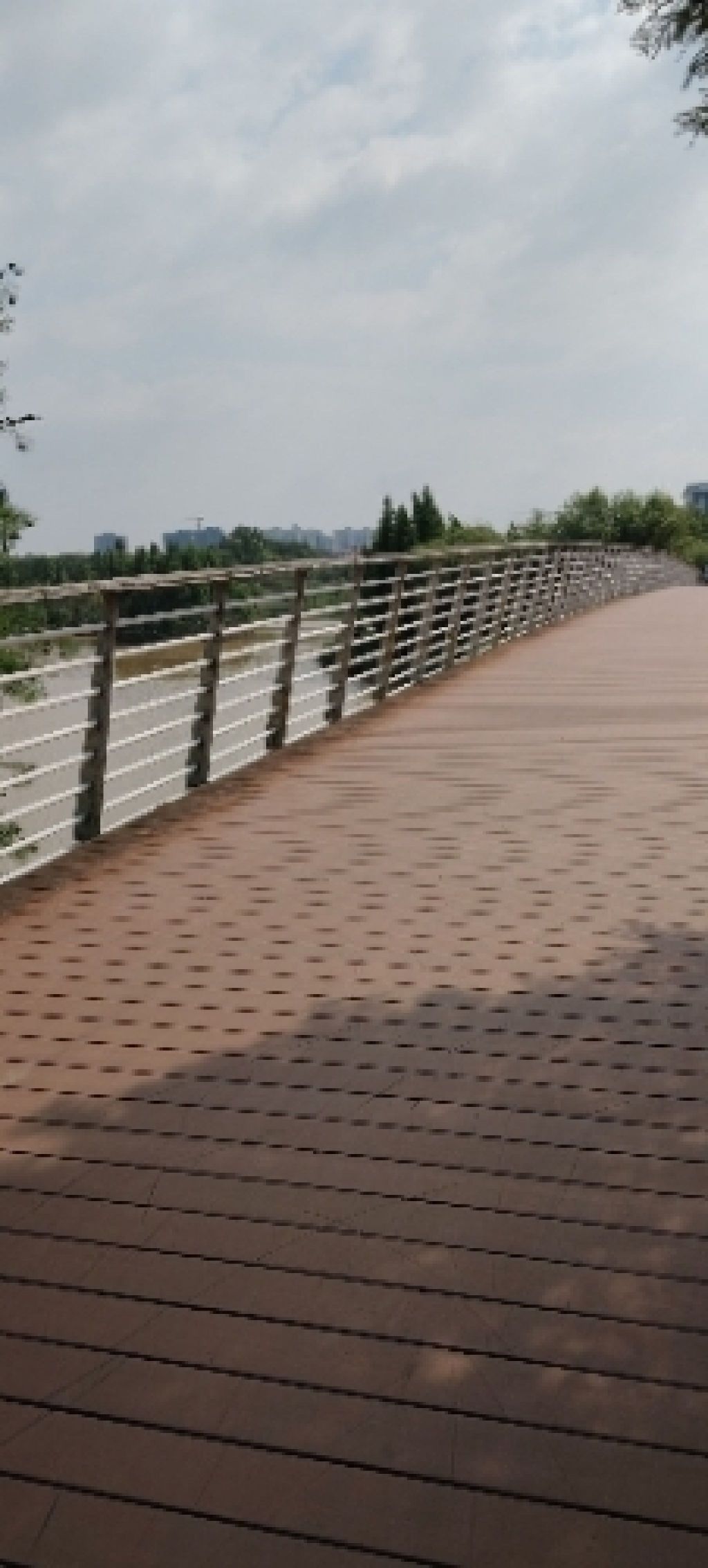湄湘河湿地公园旅行图片 1