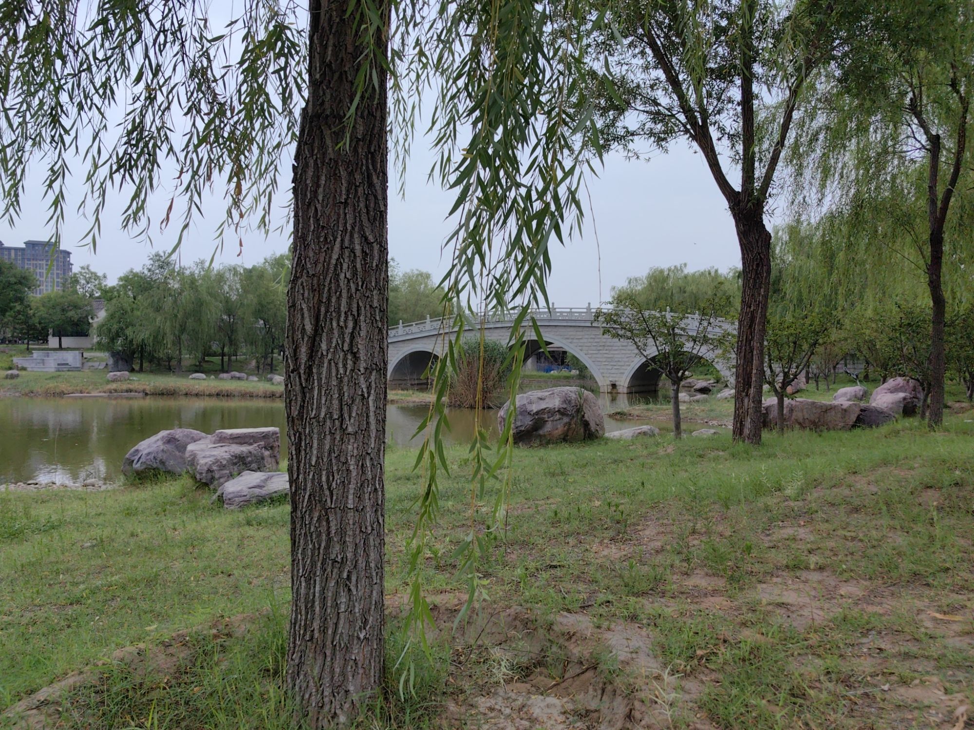 众意湖旅行图片 1