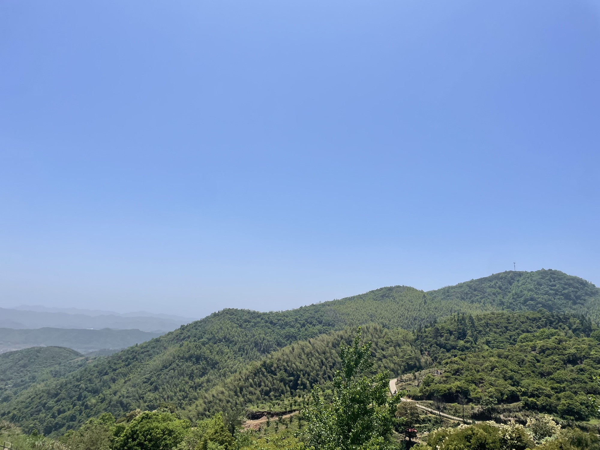 千丘梯田旅行图片 3