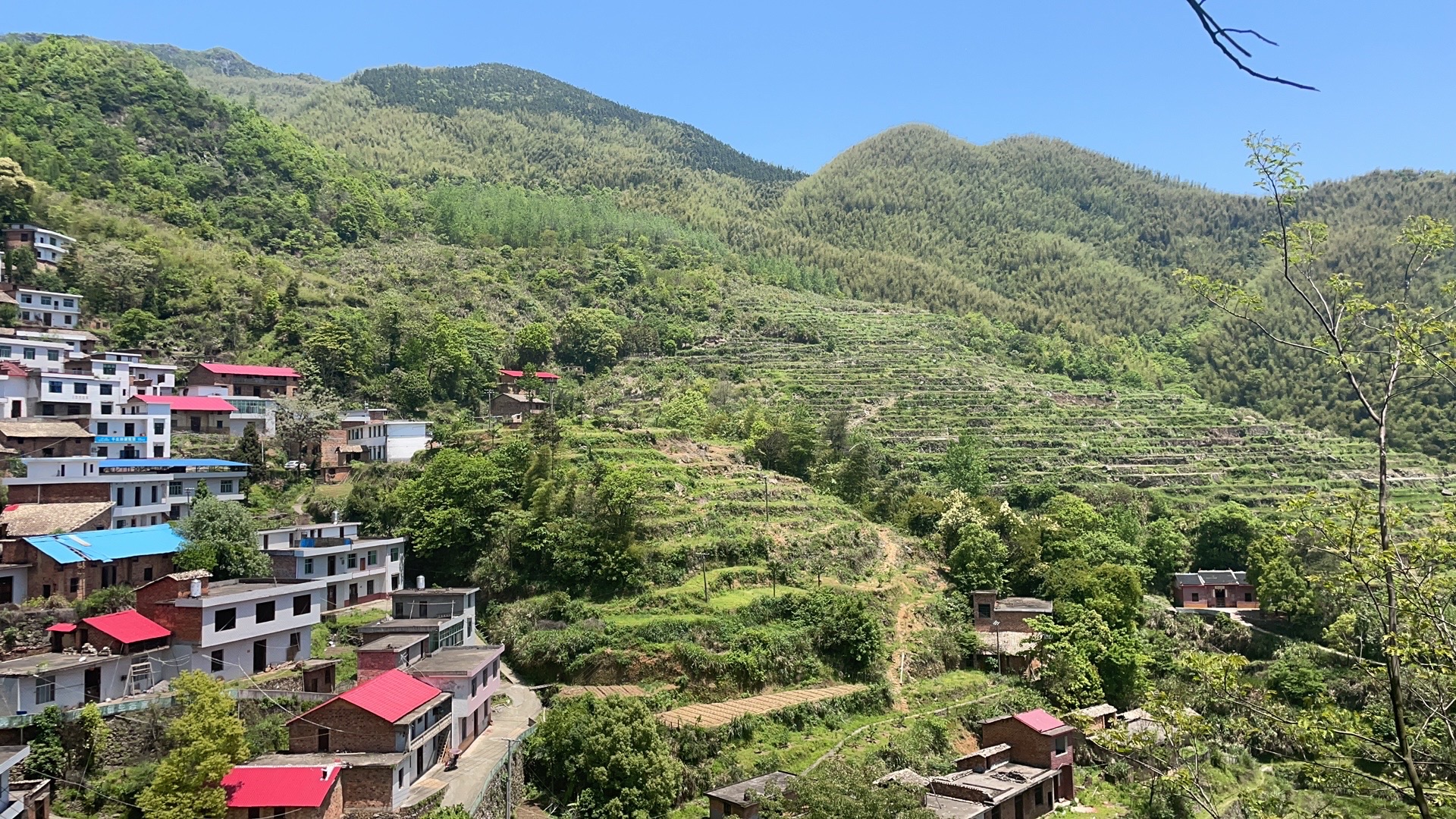 千丘梯田旅行图片 1