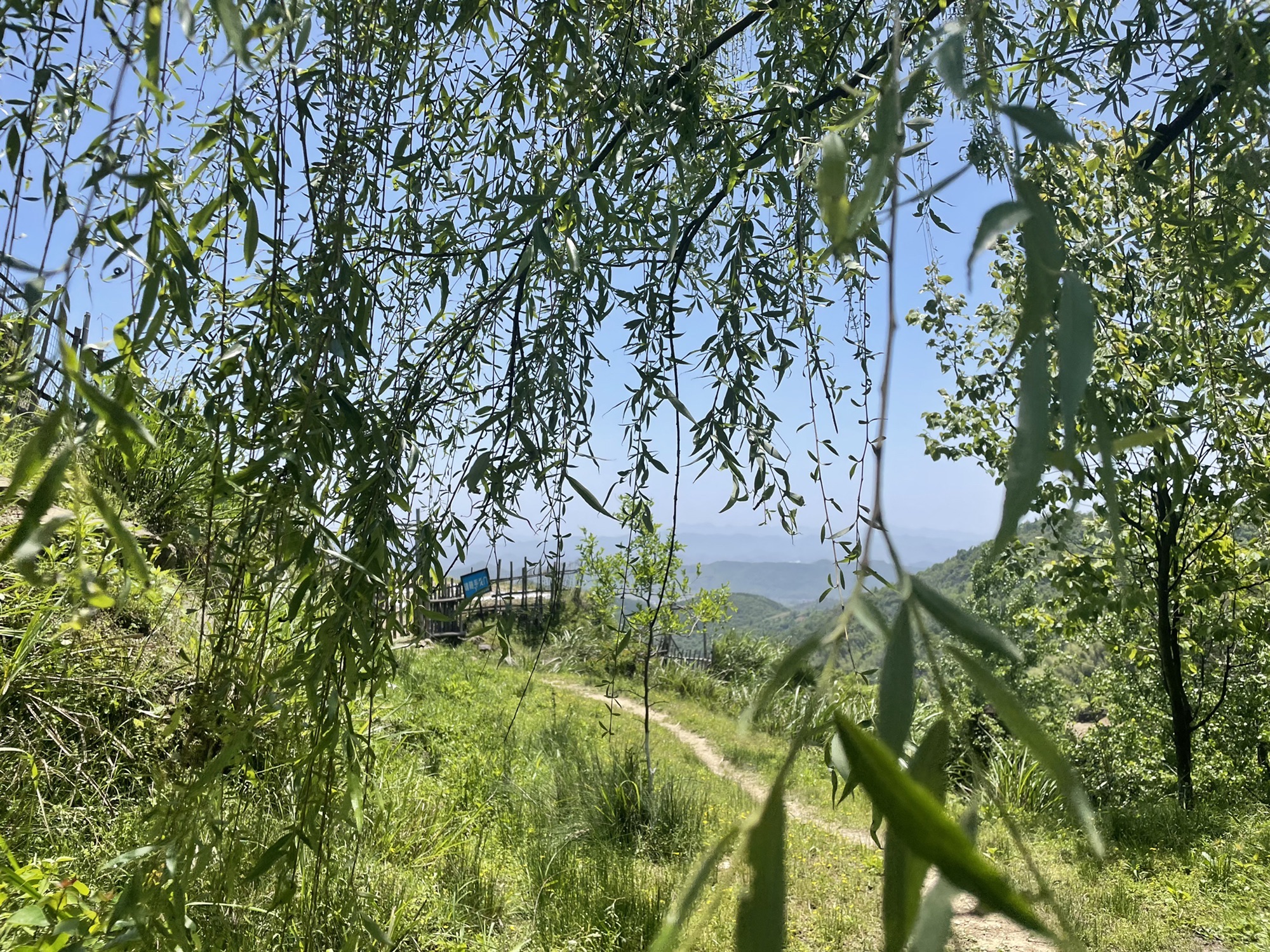 千丘梯田旅行图片 2
