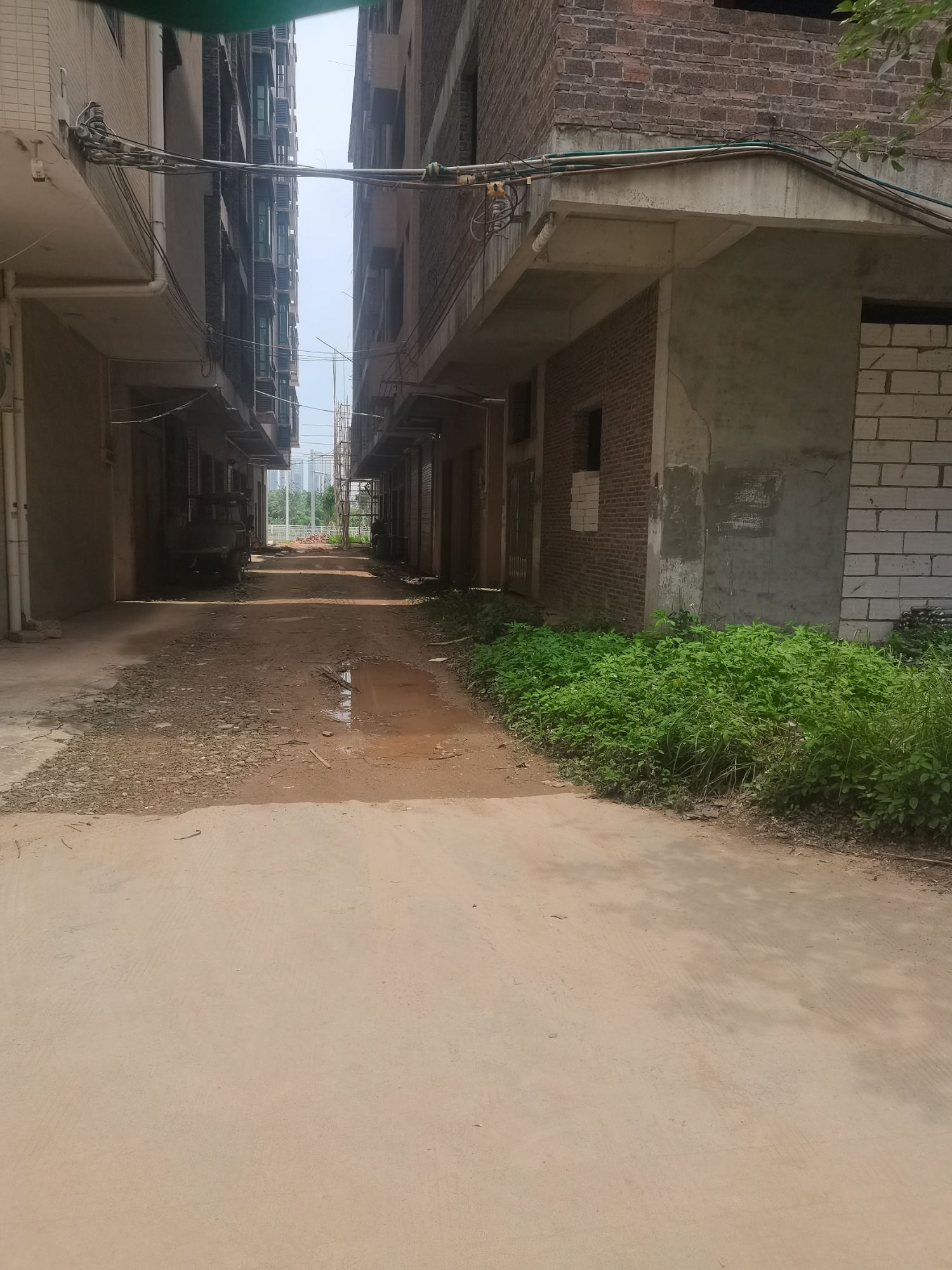 逢春公园旅行图片 3