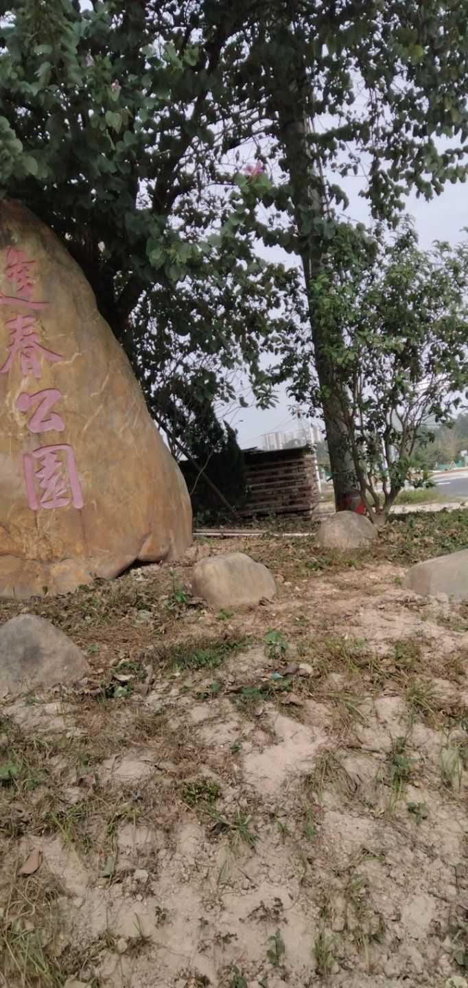逢春公园旅行图片 3