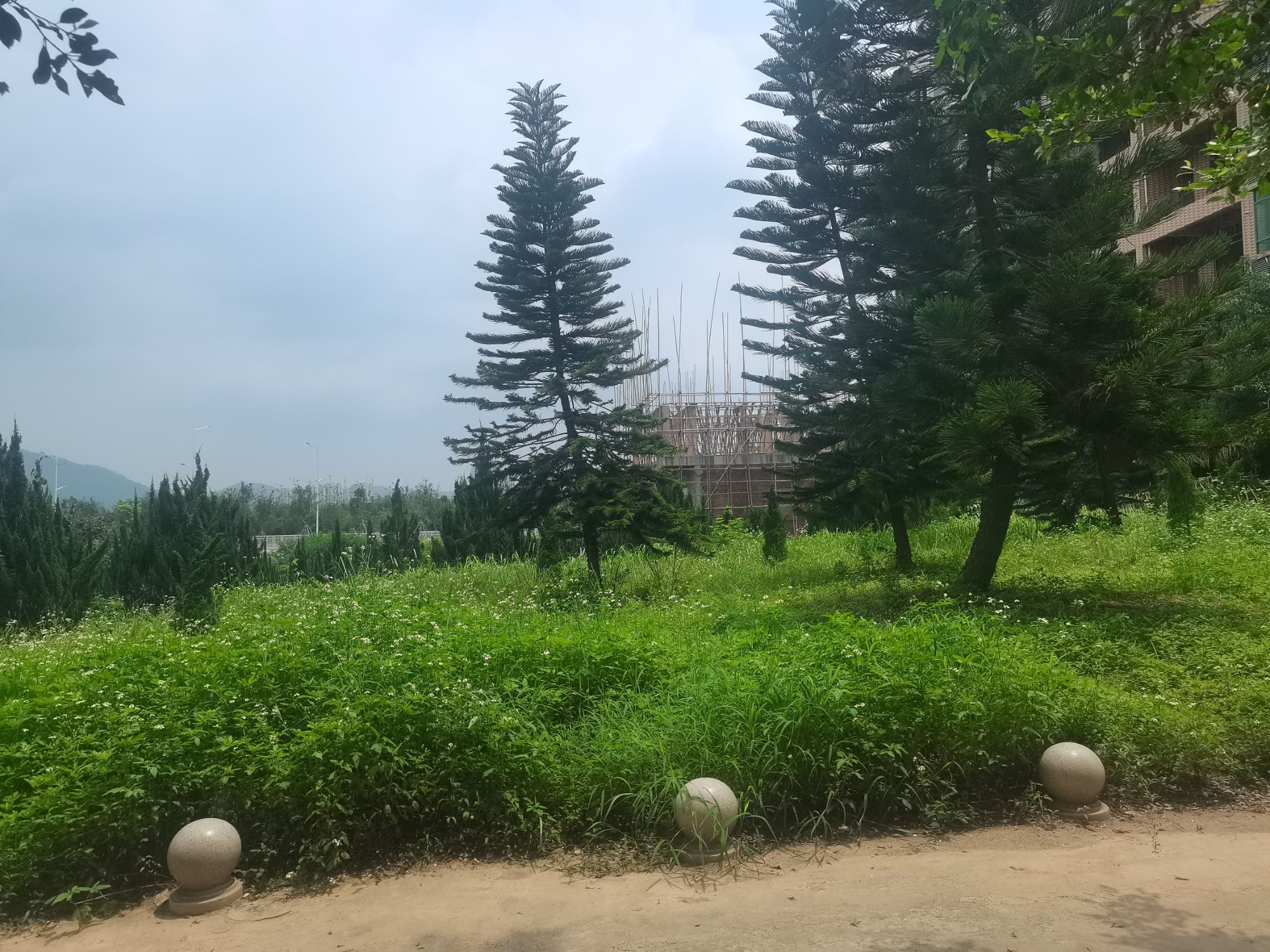 逢春公园旅行图片 1