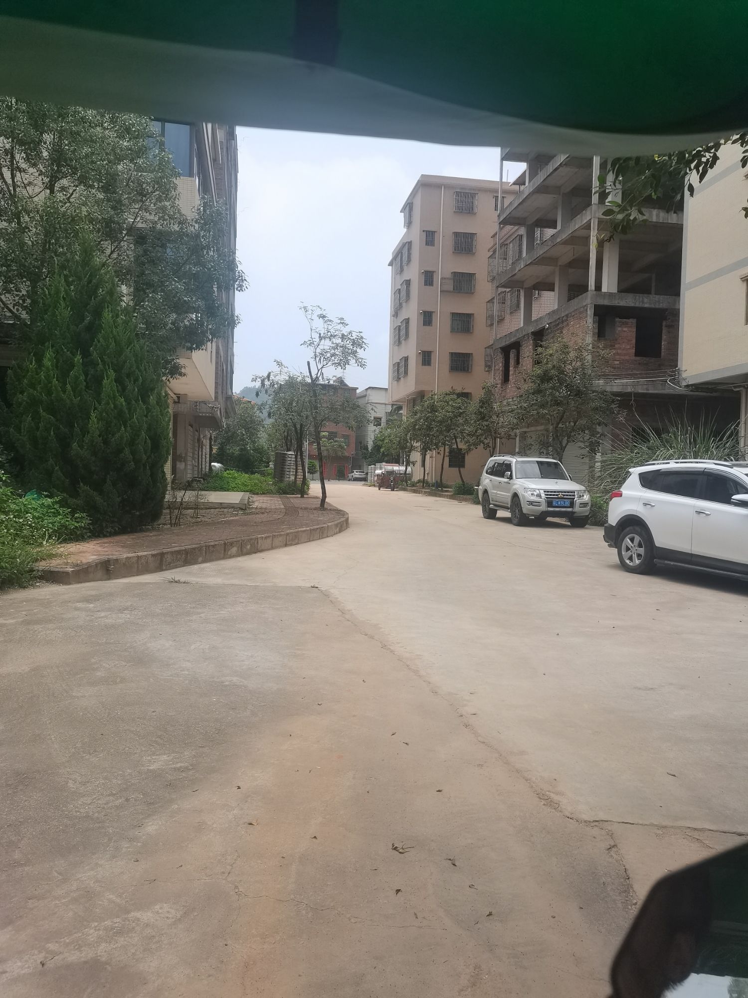 逢春公园旅行图片 2