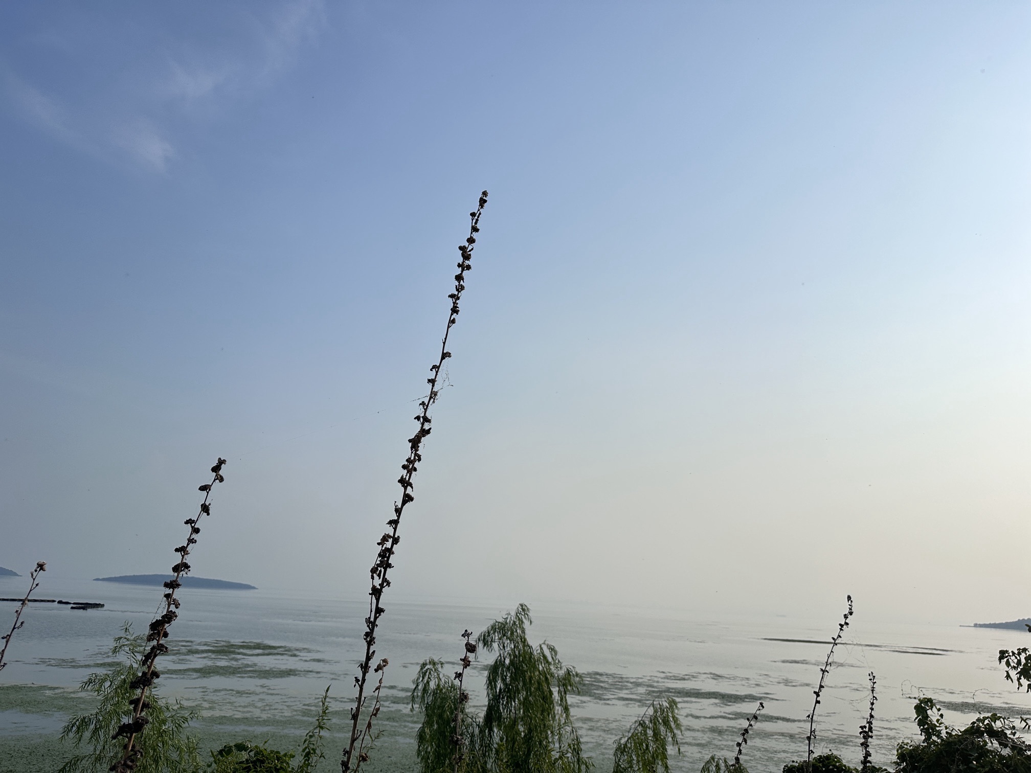 太湖湾旅行图片 1