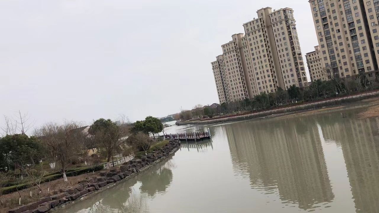 新塍塘绿道旅行图片 1