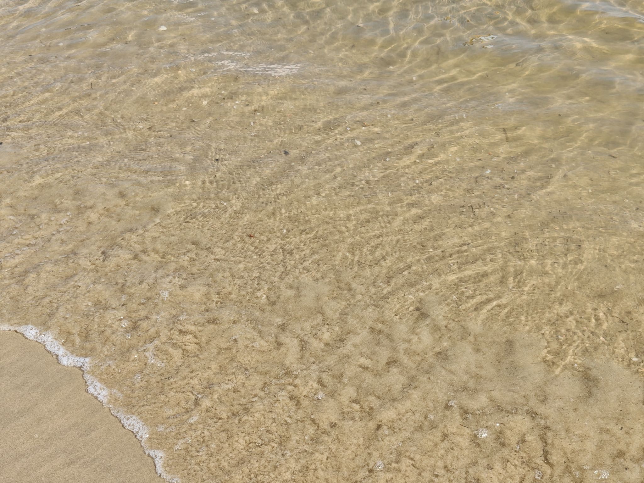施公寮风车岛浅水湾旅游区旅行图片 3