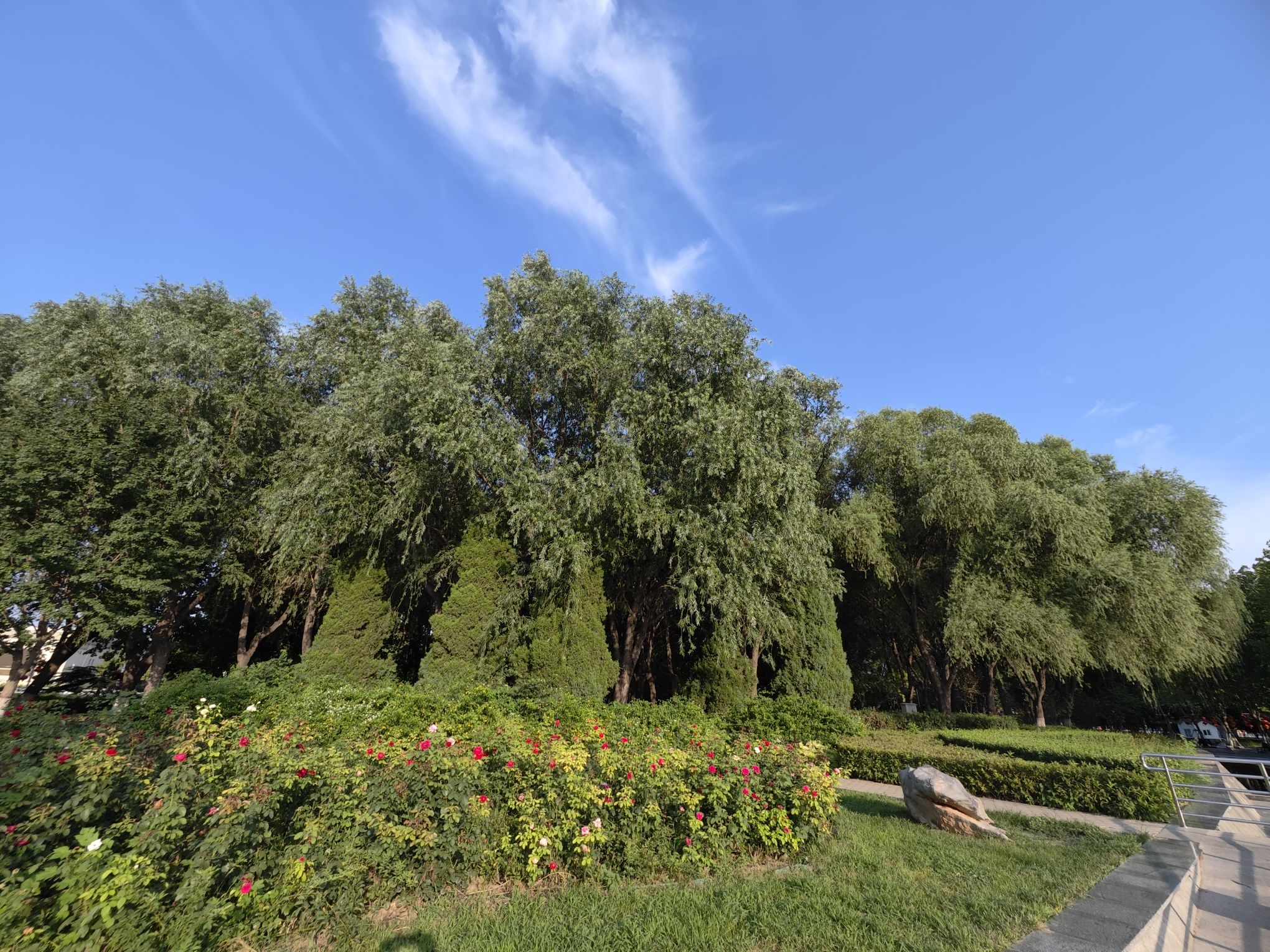 雄州公园旅行图片 3