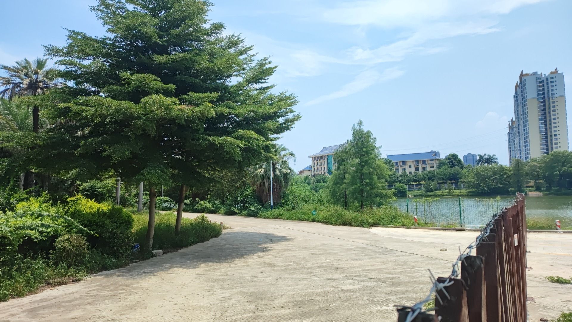 亚热带植物科普园