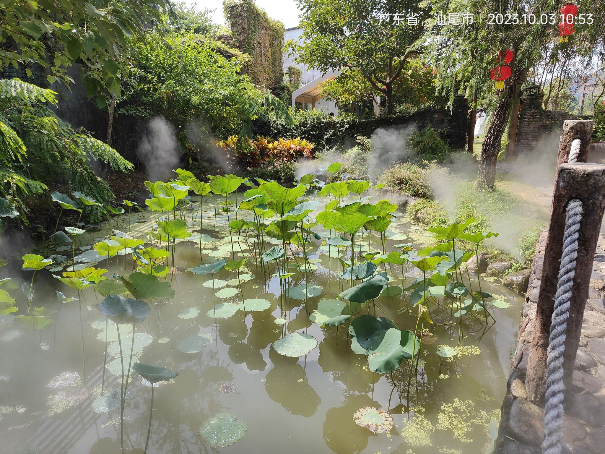 桃花源风景区旅行图片 2