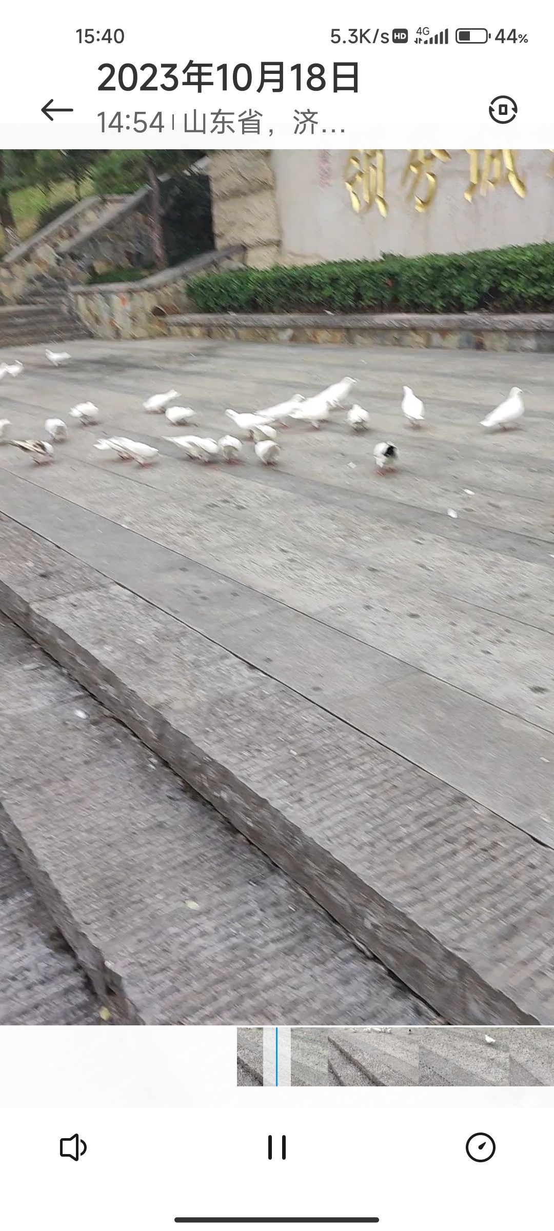 领秀公园旅行图片 1