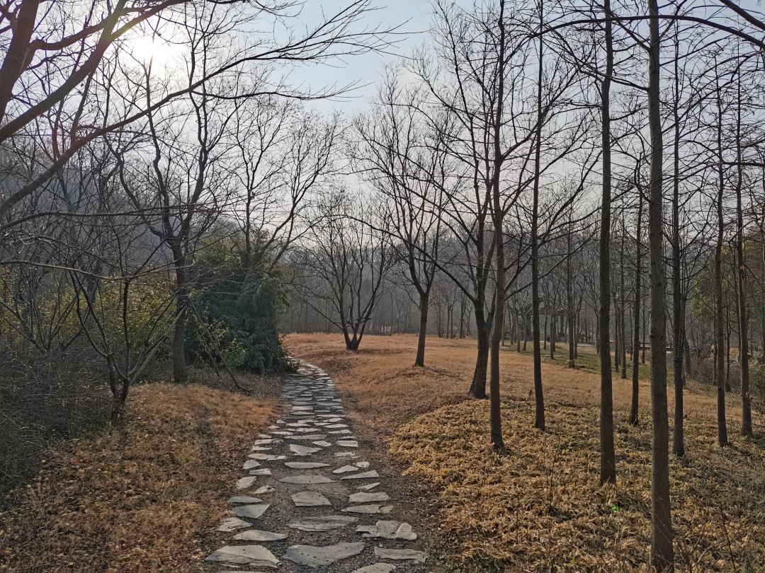 小黄山风景区旅行图片 2