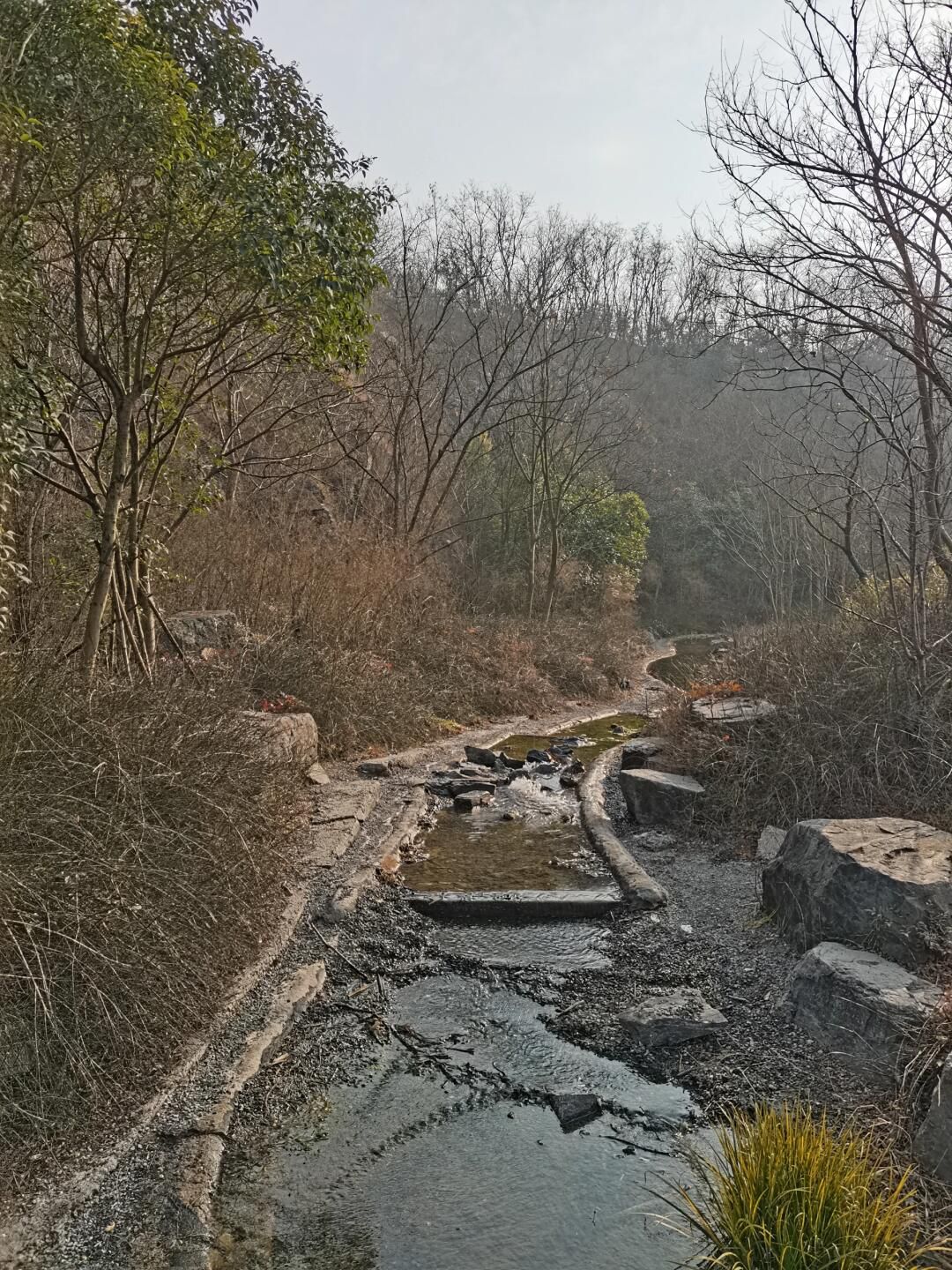 小黄山风景区旅行图片 3