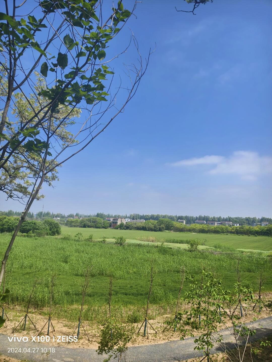 小黄山风景区旅行图片 3