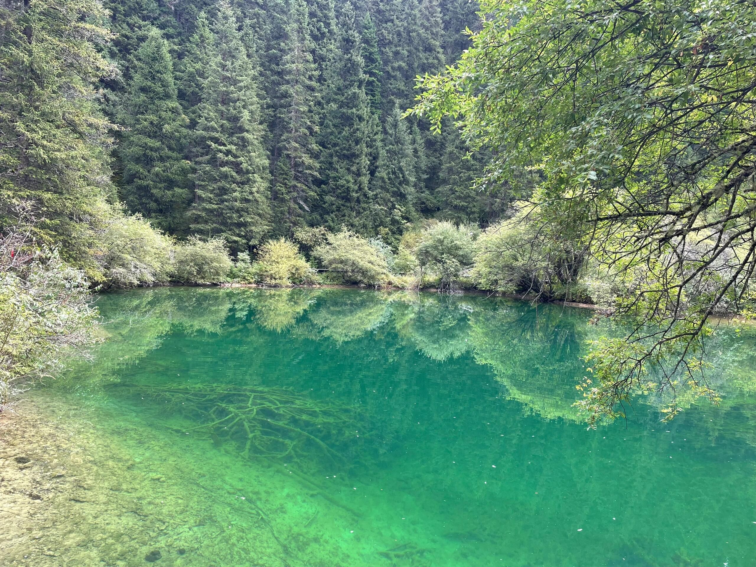 镰刀坝草原旅行图片 2