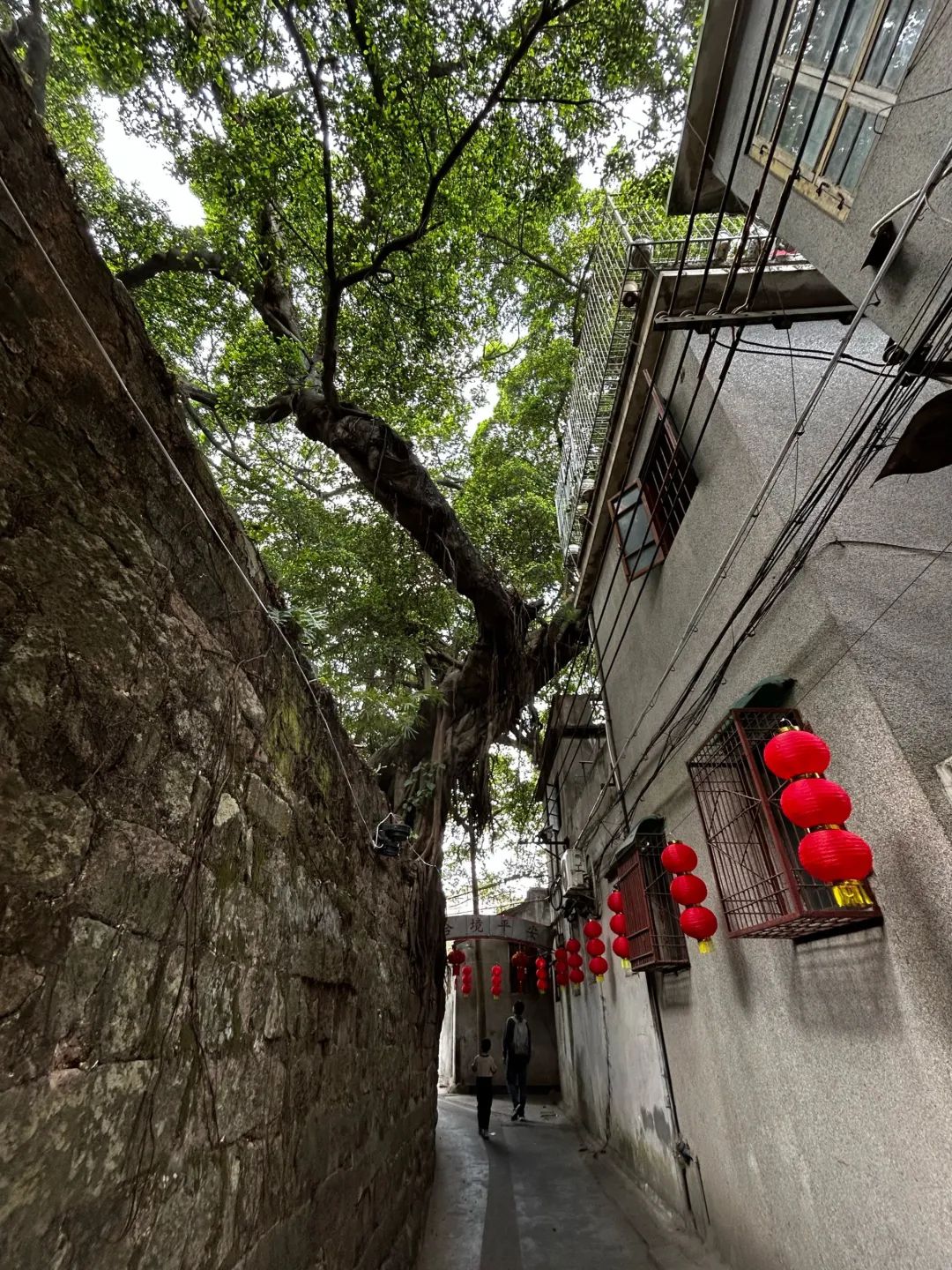 揭阳禁城旅行图片 3