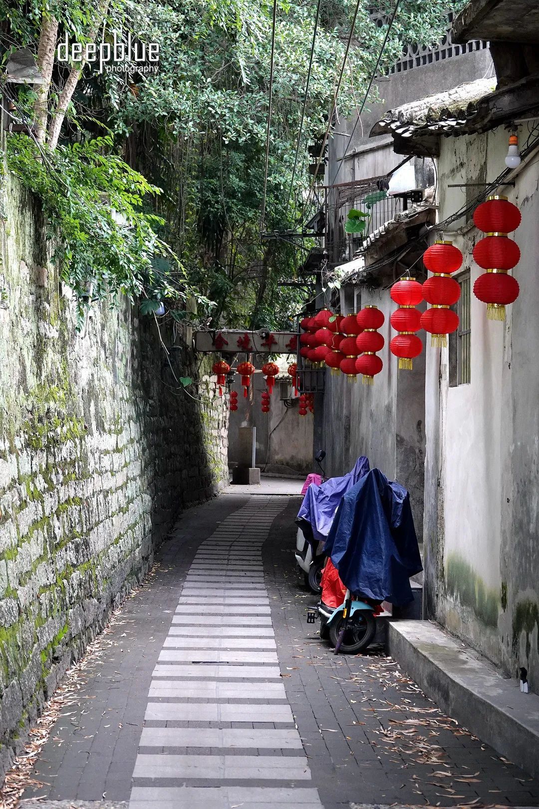 揭阳禁城旅行图片 2