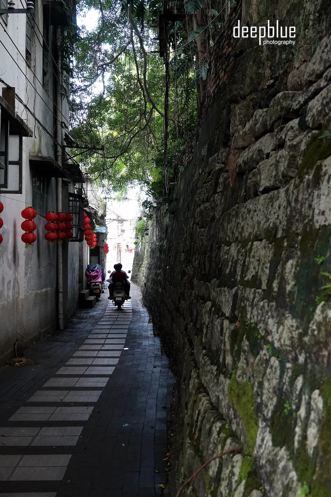 揭阳禁城旅行图片 3