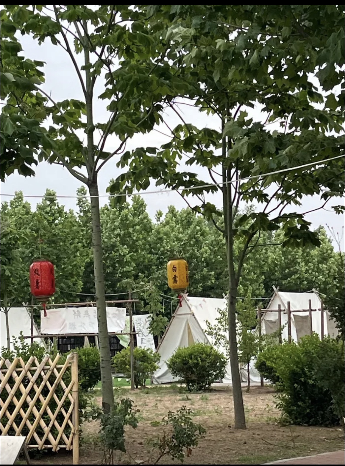 潍坊市玫瑰小镇旅行图片 2