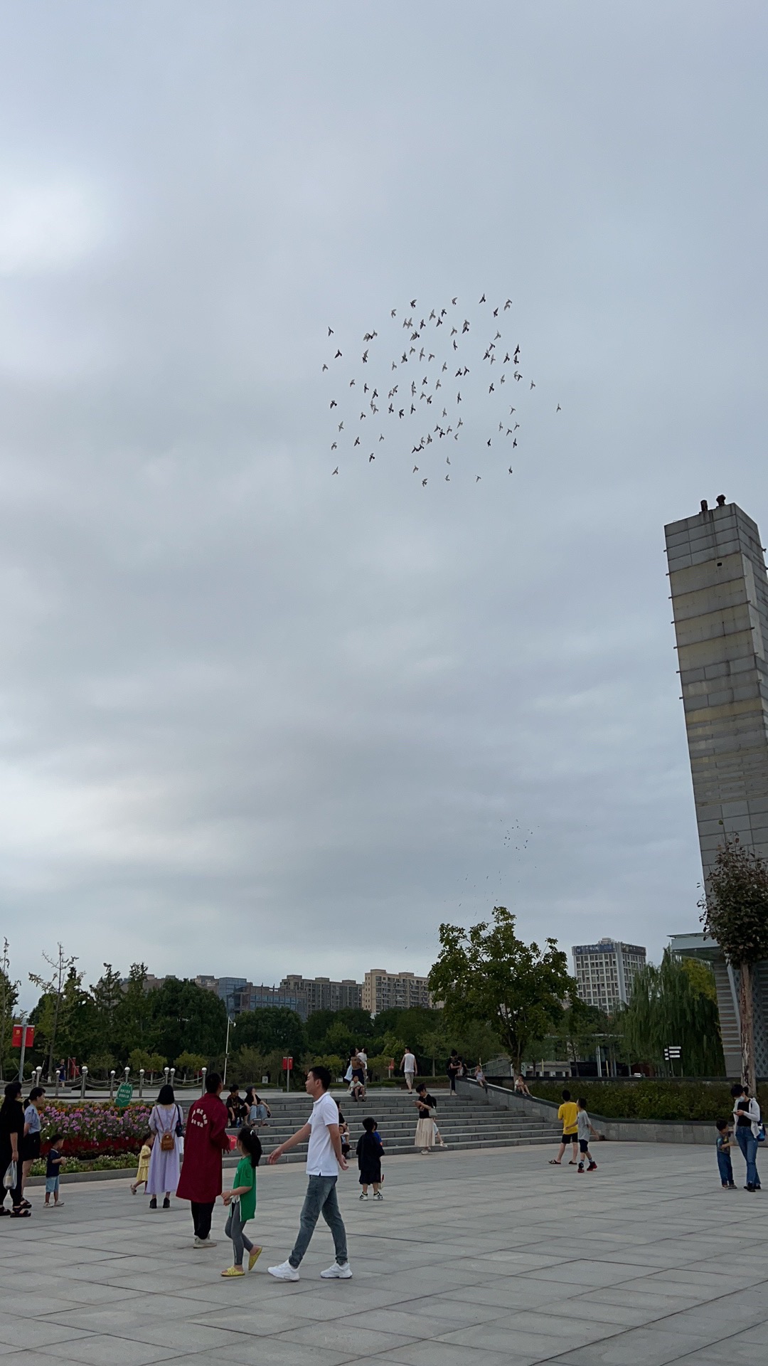 苍南新区中心湖公园旅行图片 1