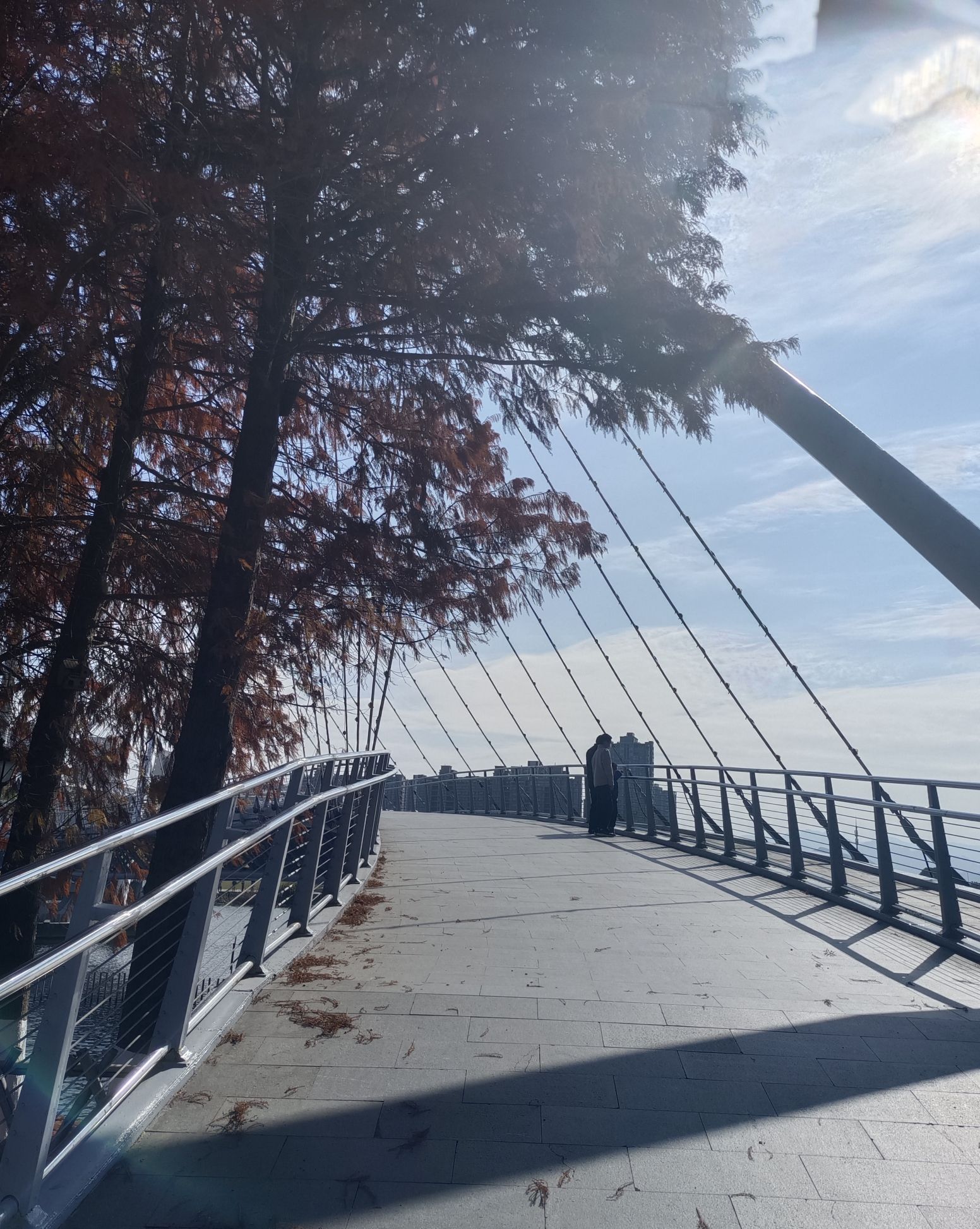 苍南新区中心湖公园旅行图片 1