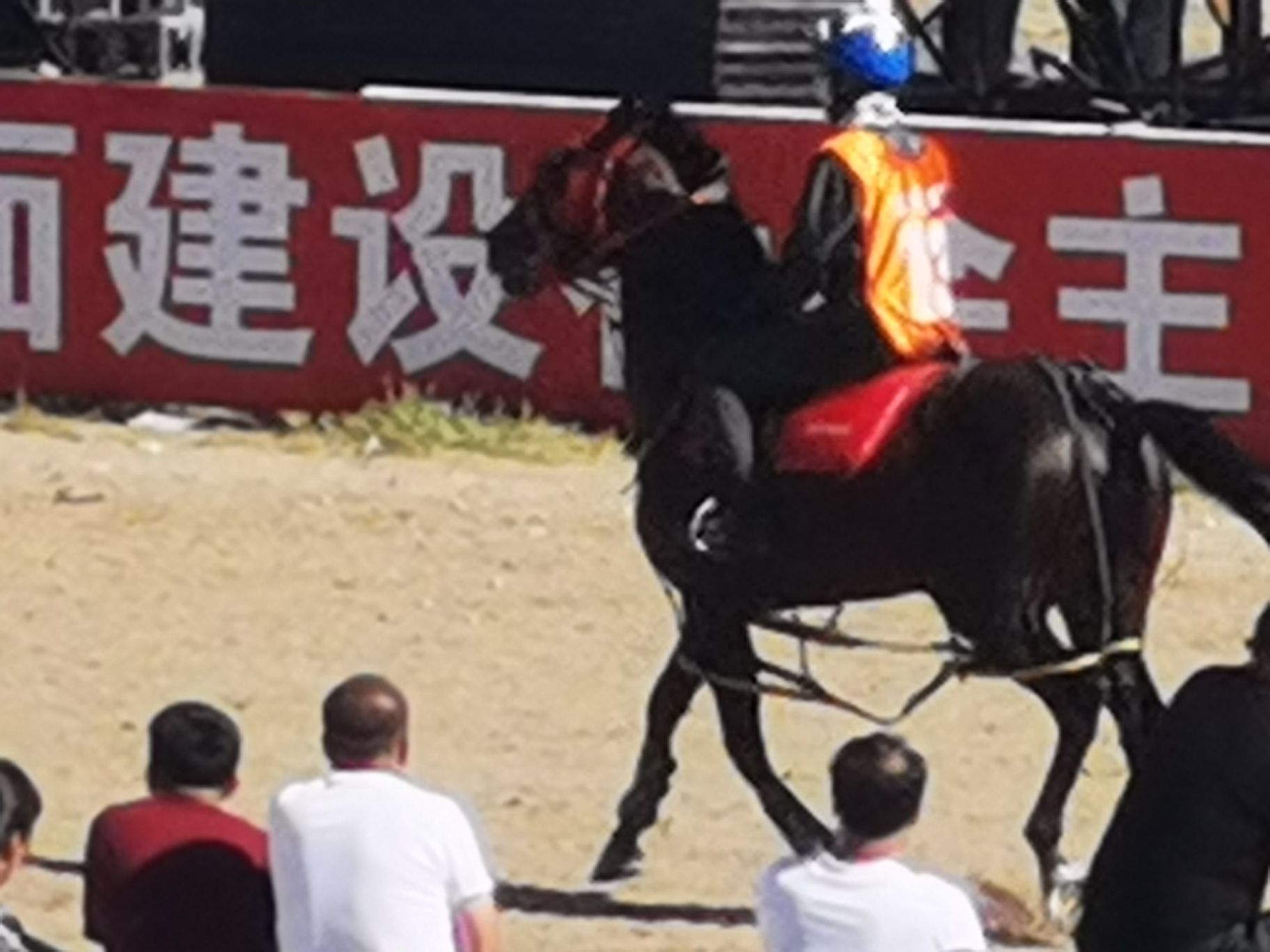百灵那达慕会场旅行图片 1