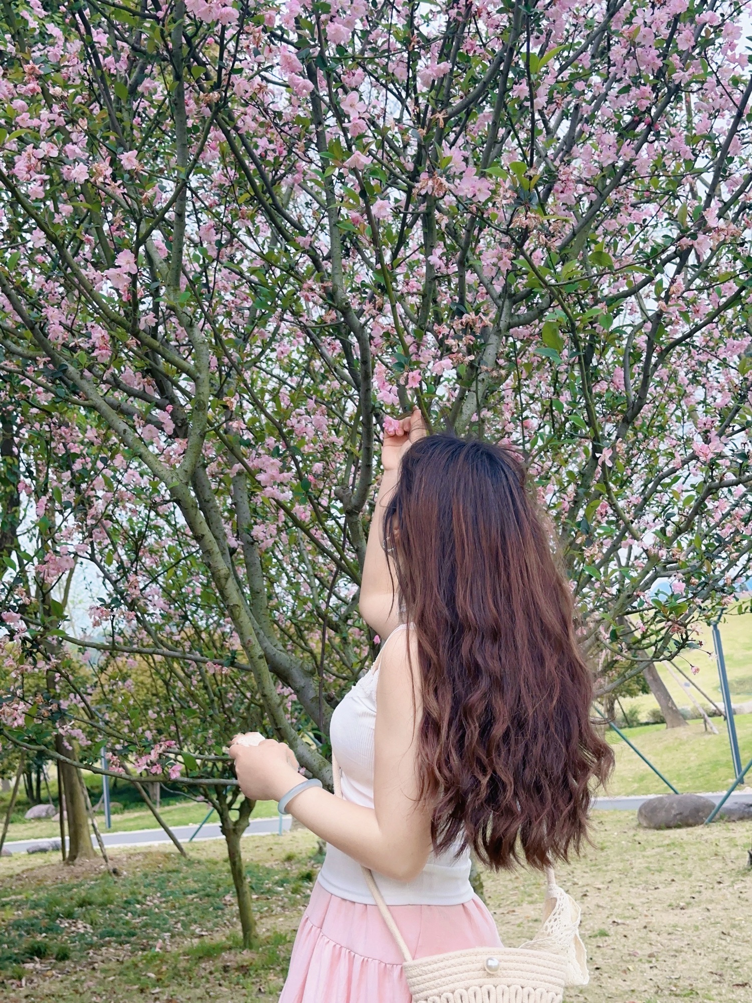 台州植物(雕塑)园旅行图片 1