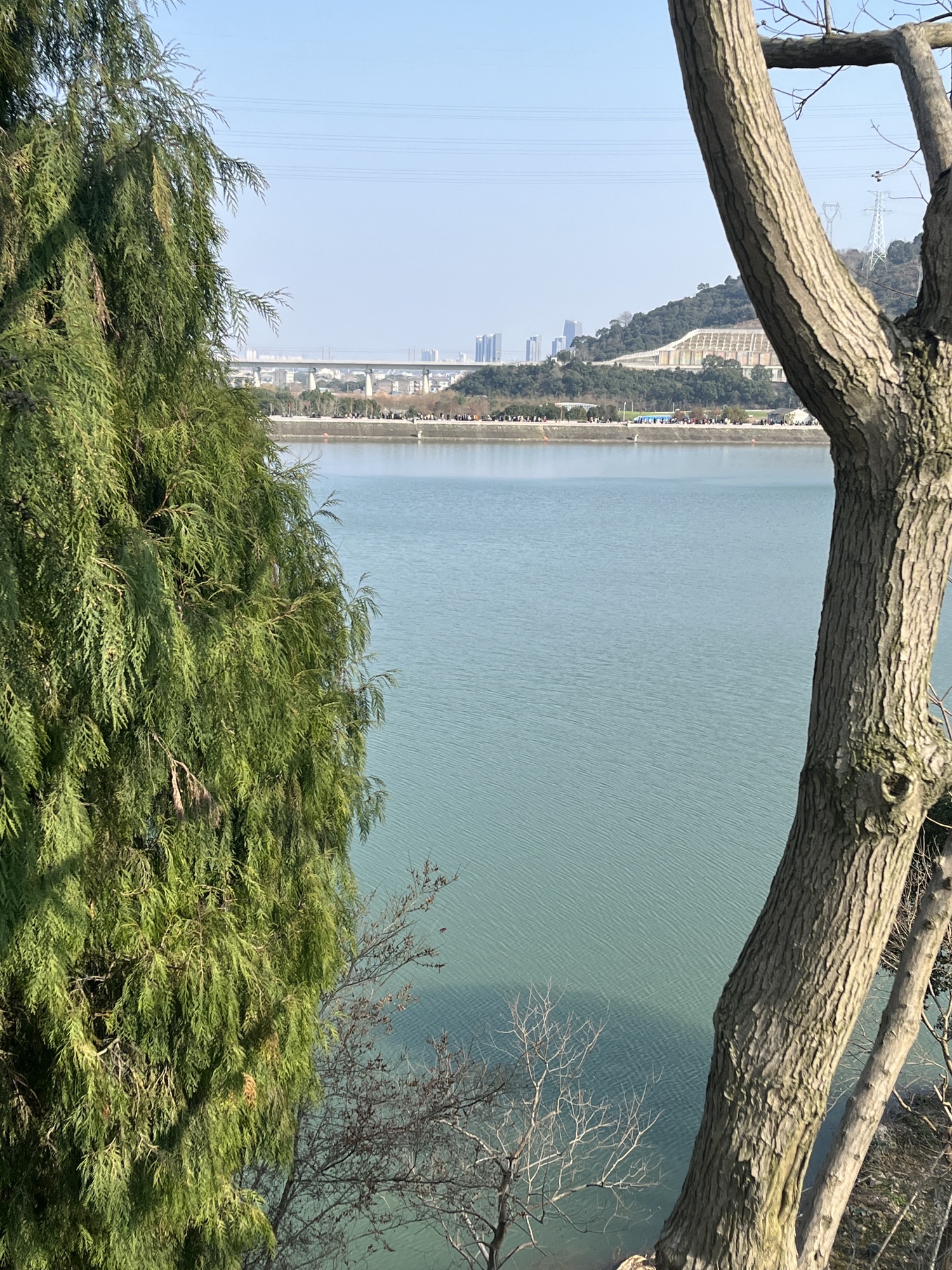 台州植物(雕塑)园旅行图片 3