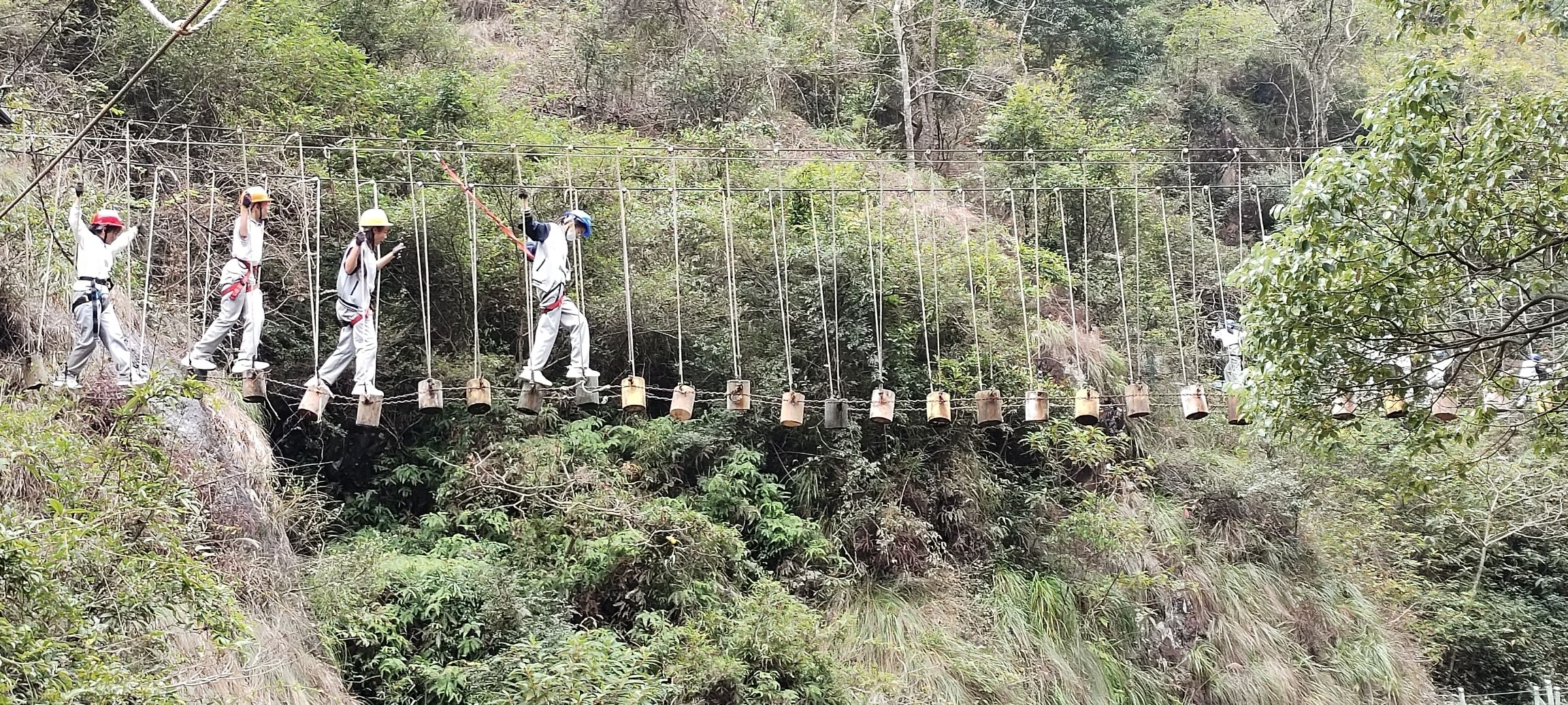 龙井风景区旅行图片 1