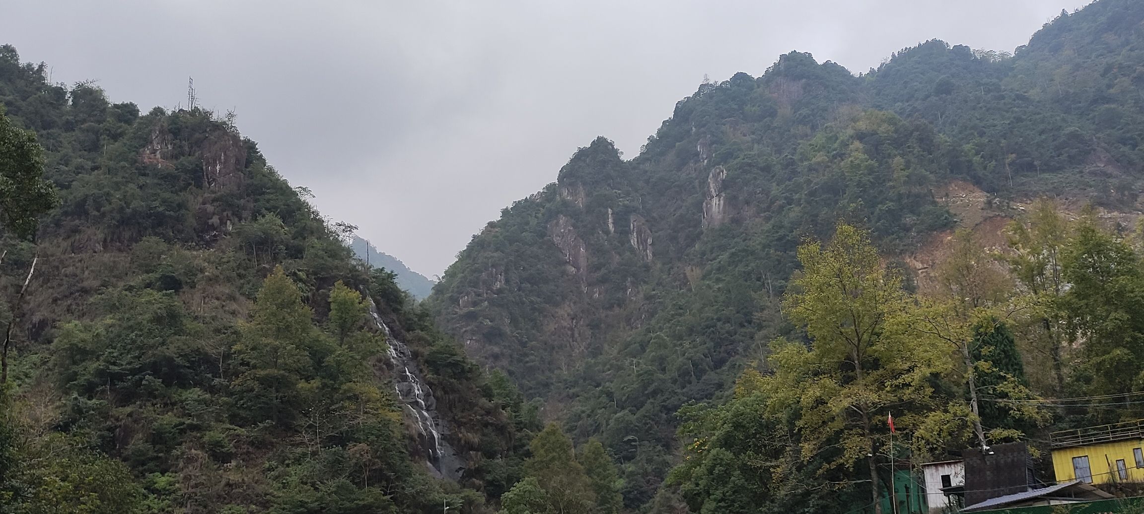 龙井风景区旅行图片 3