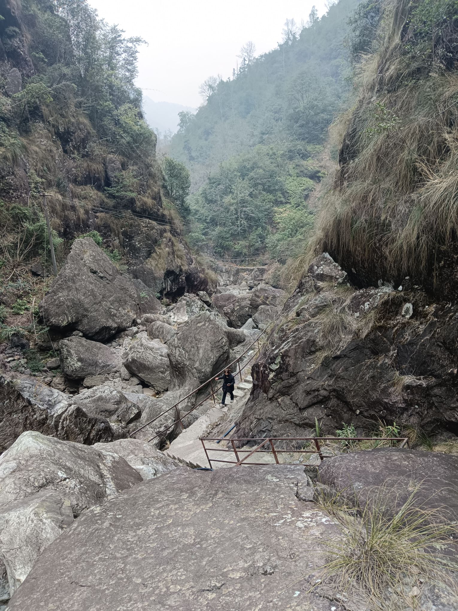 龙井风景区旅行图片 3