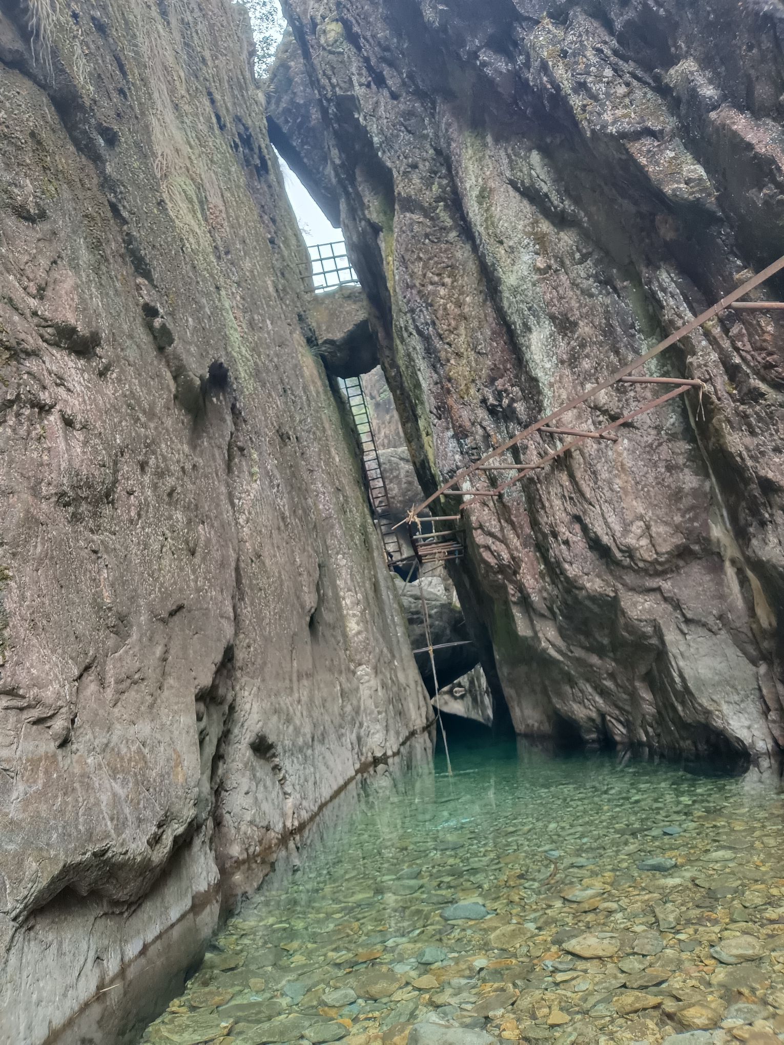 龙井风景区旅行图片 2