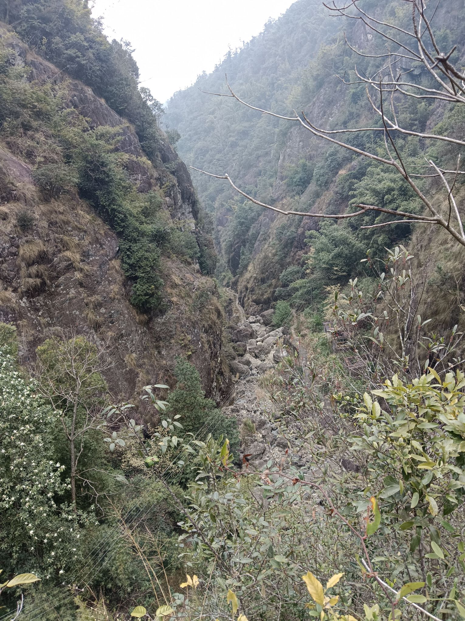 龙井风景区旅行图片 1
