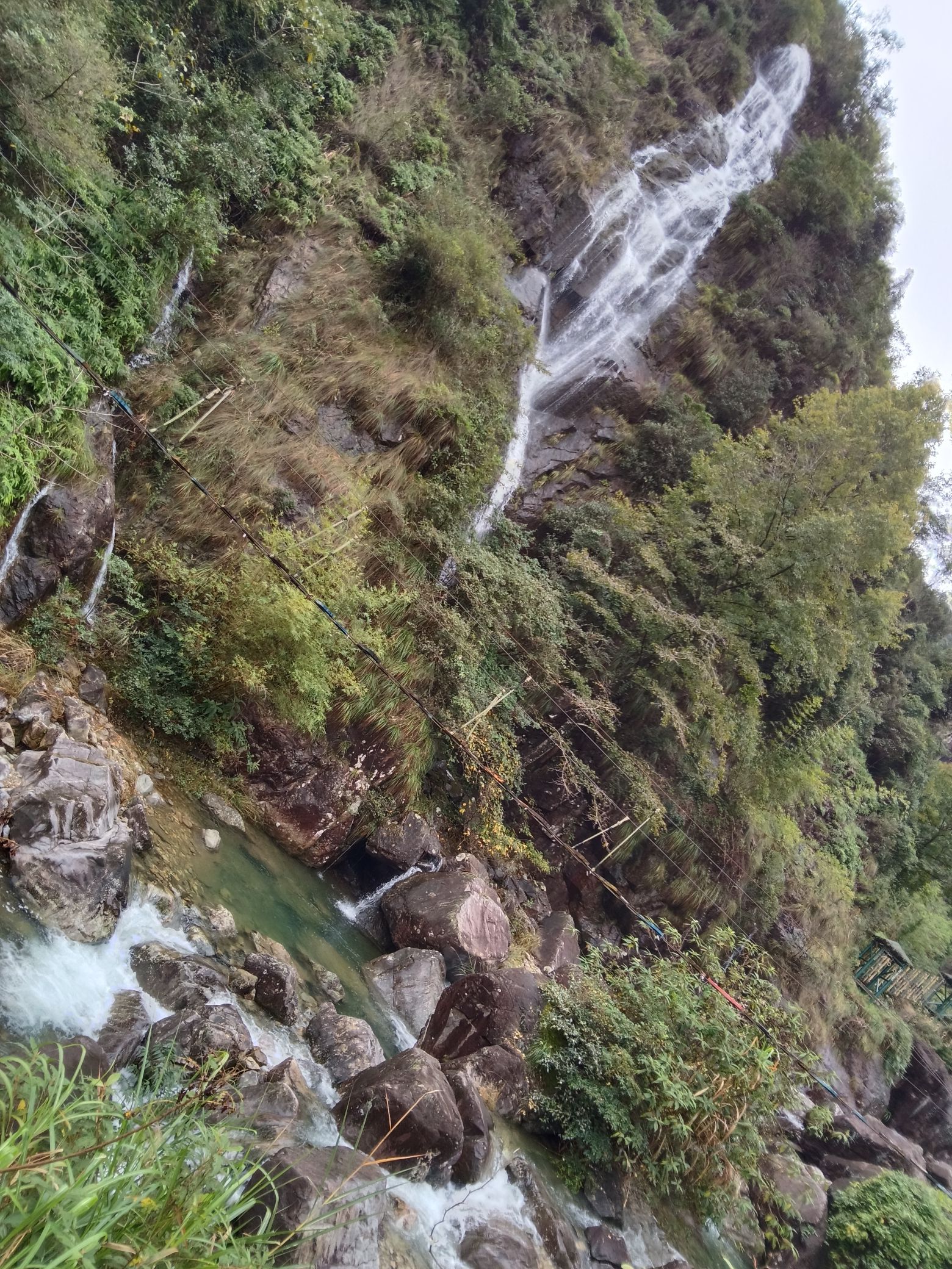 龙井风景区旅行图片 3