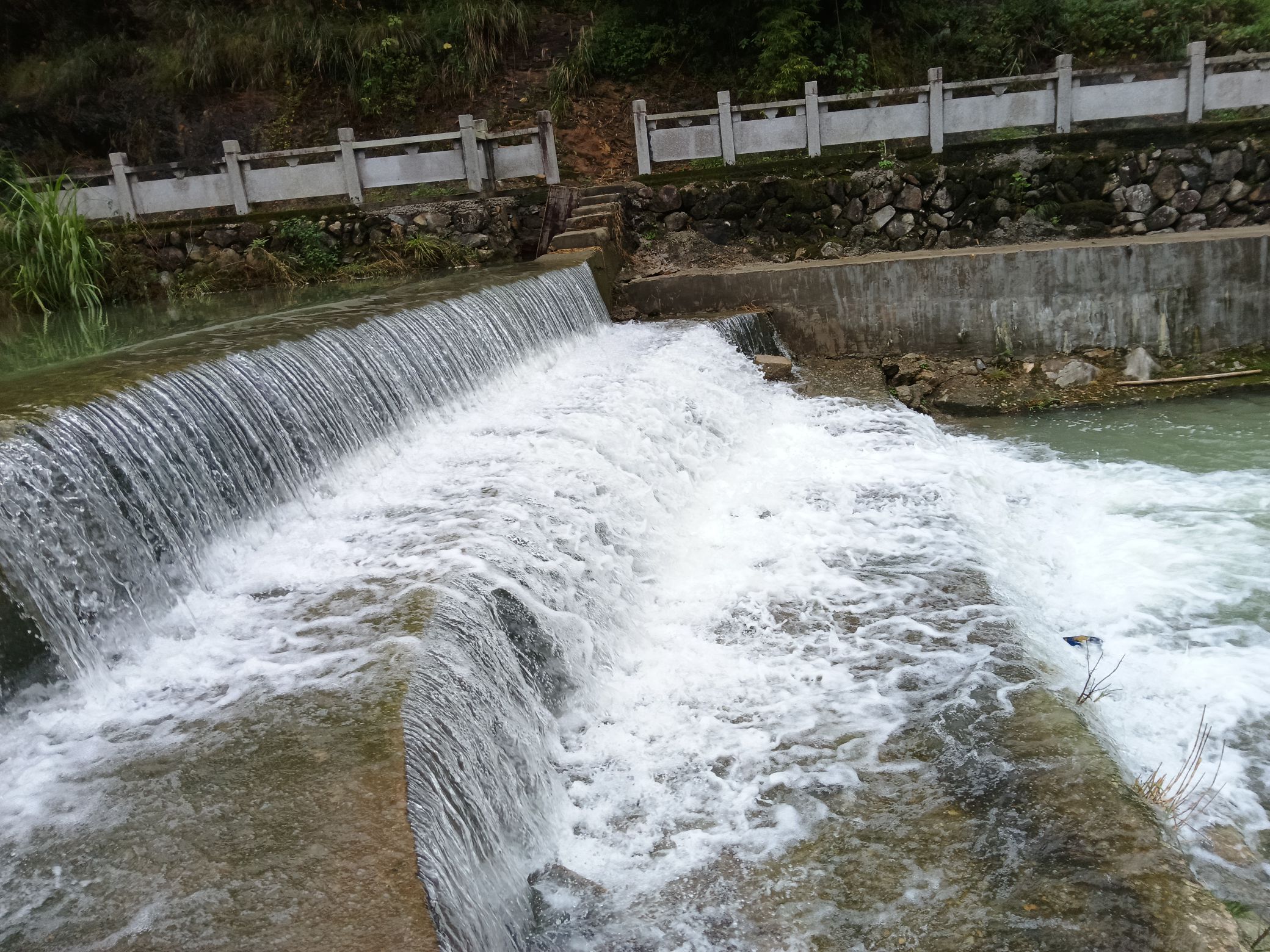 龙井风景区旅行图片 1