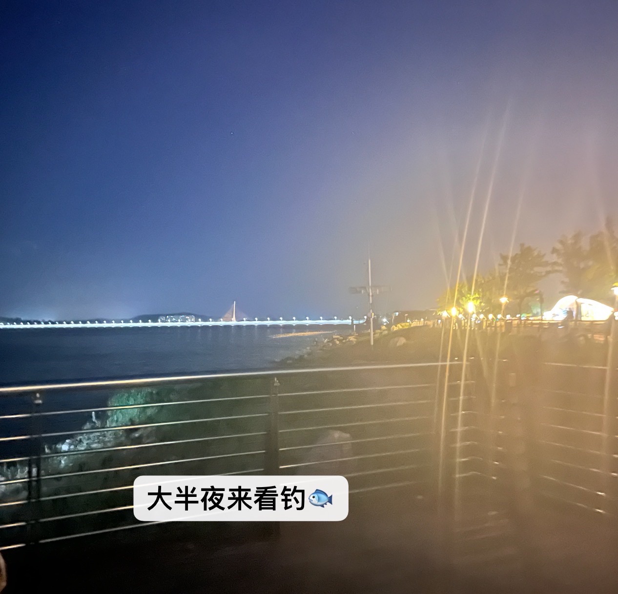 滨湖广场旅行图片 2