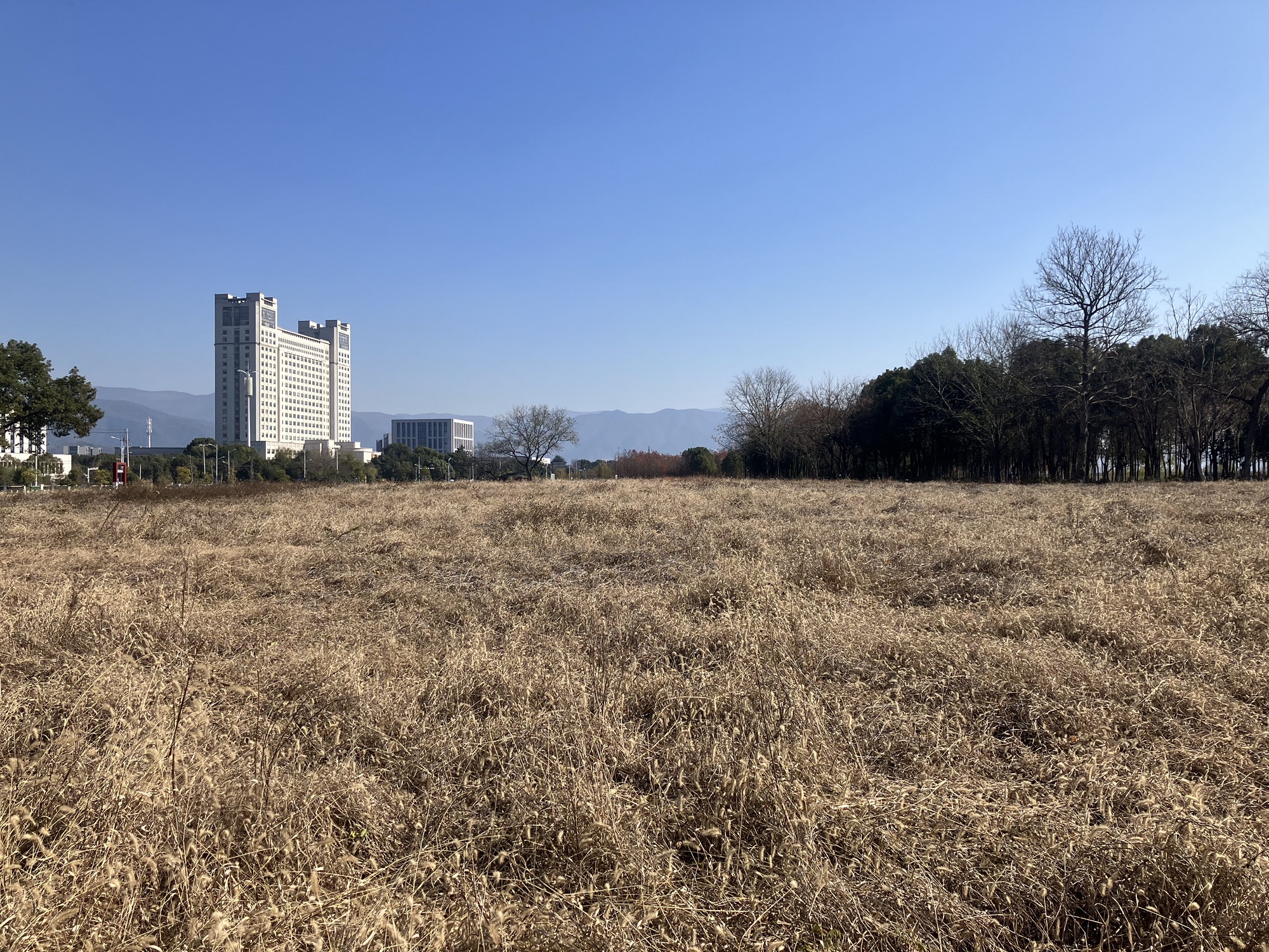 始丰湖公园旅行图片 3