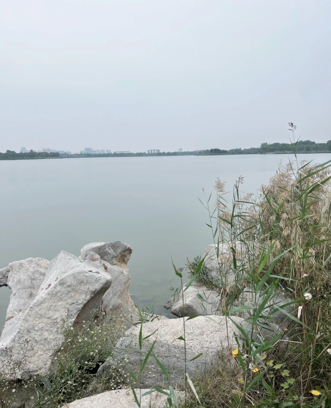 八里湾风景区旅行图片 3