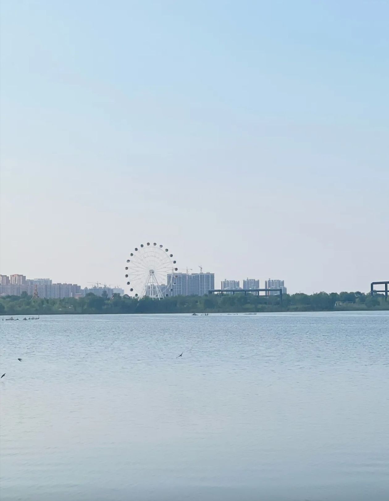 八里湾风景区旅行图片 1